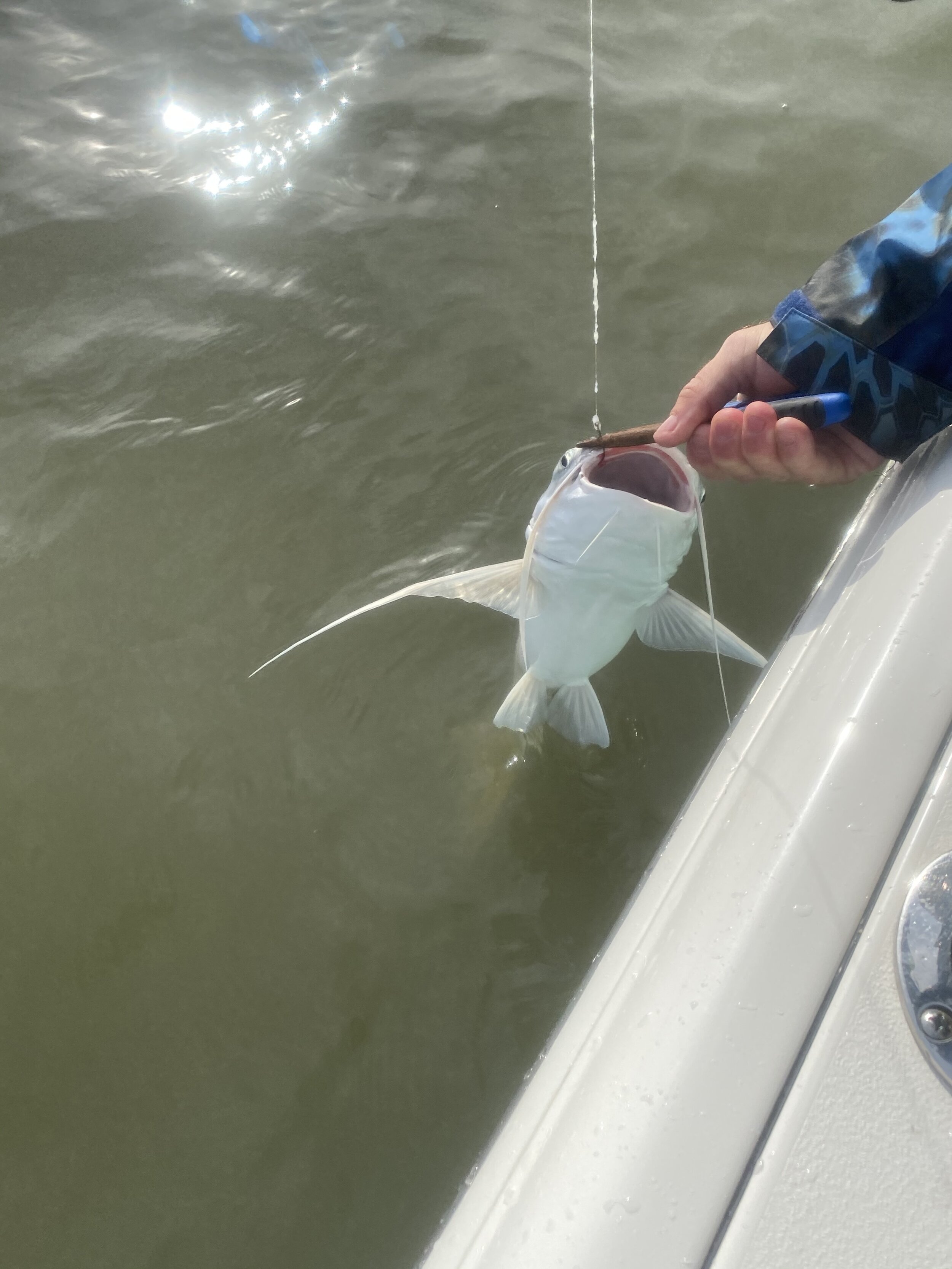 Fishing on Alabama's Gulf Coast