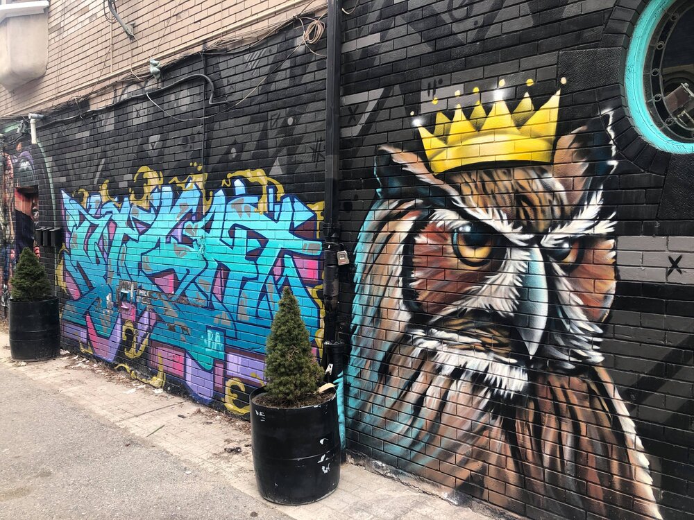 Toronto's Street Artists