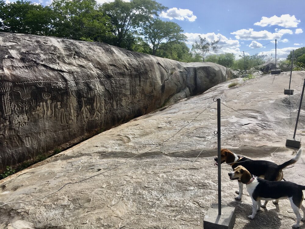 Travel with Dogs to the Inga Stone