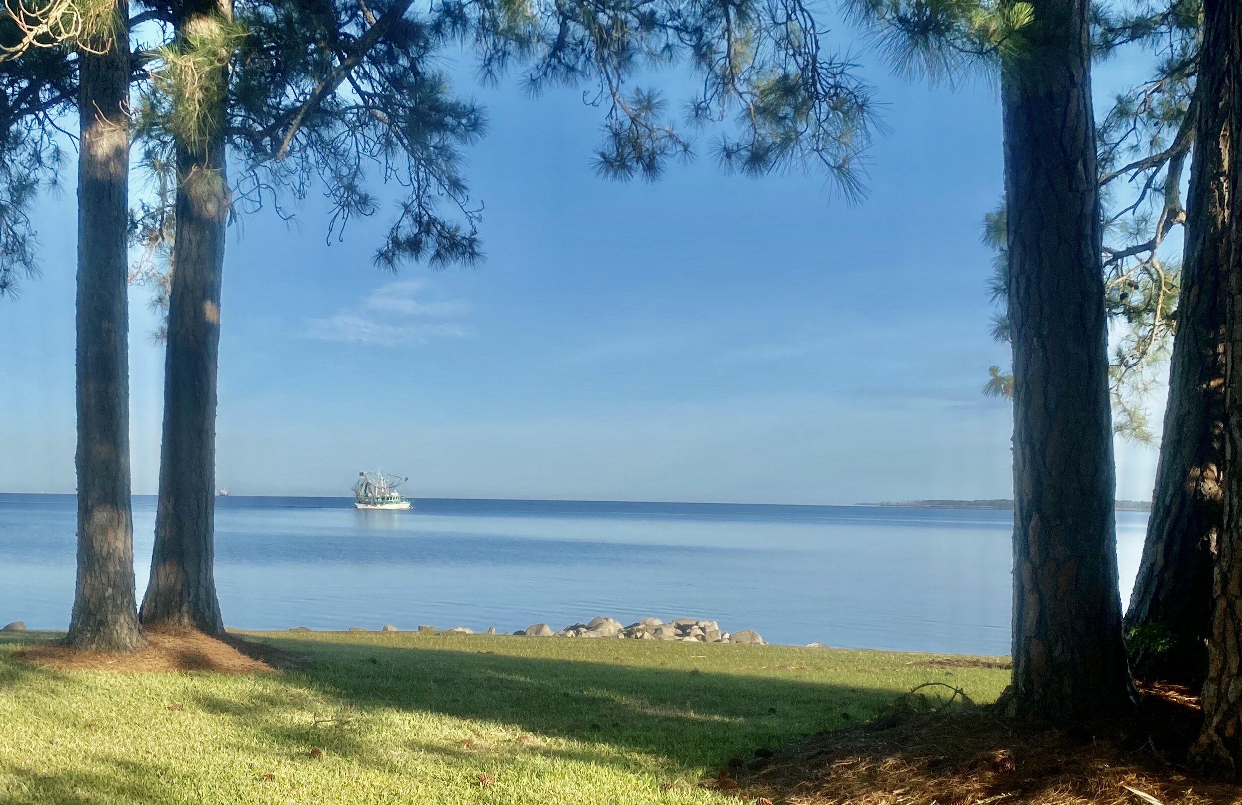 Shrimp Boats in Gulf Shores, Alabama