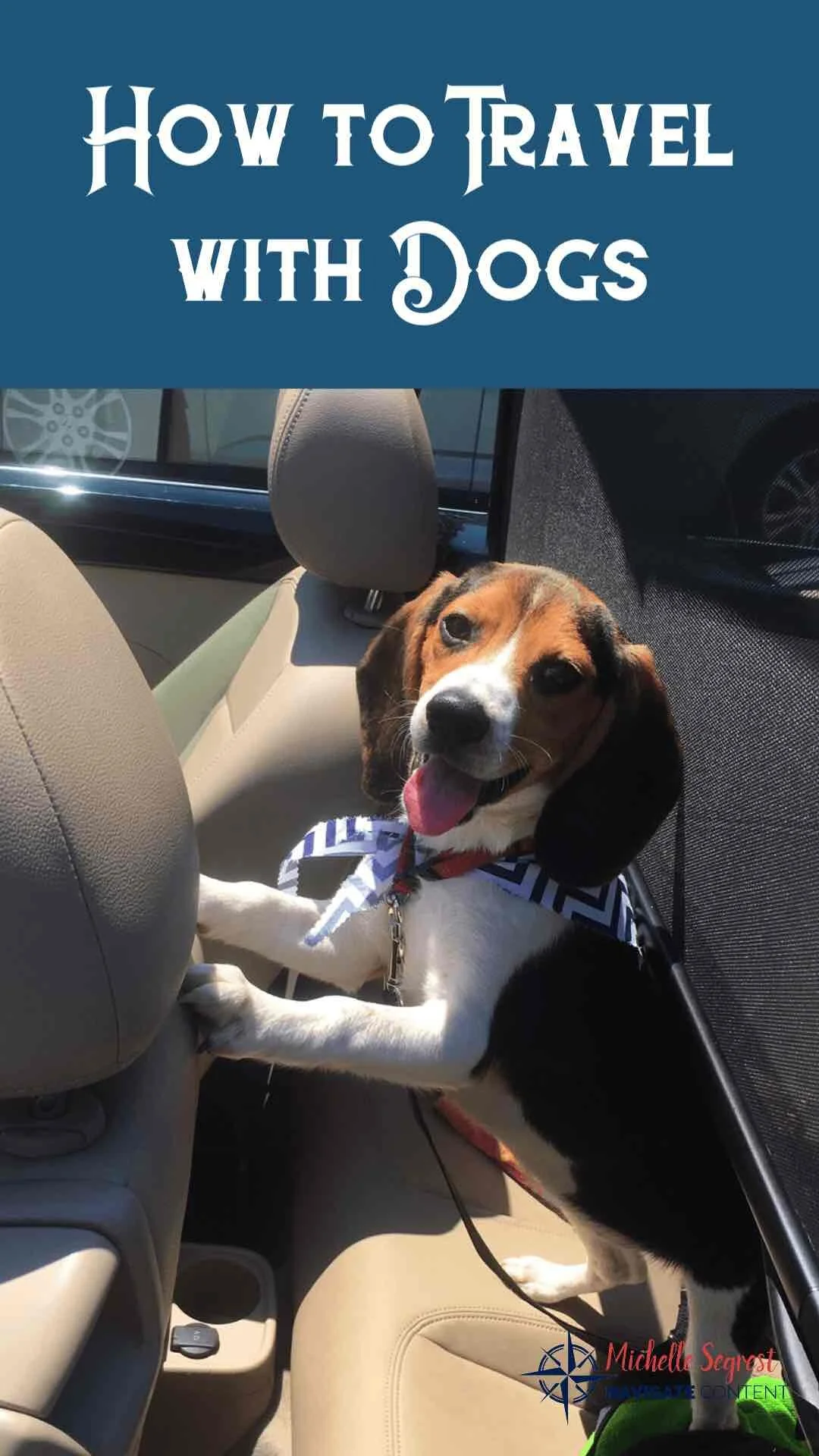 14 Tips for Traveling with a Dog Internationally on an Airplane — Navigate Content