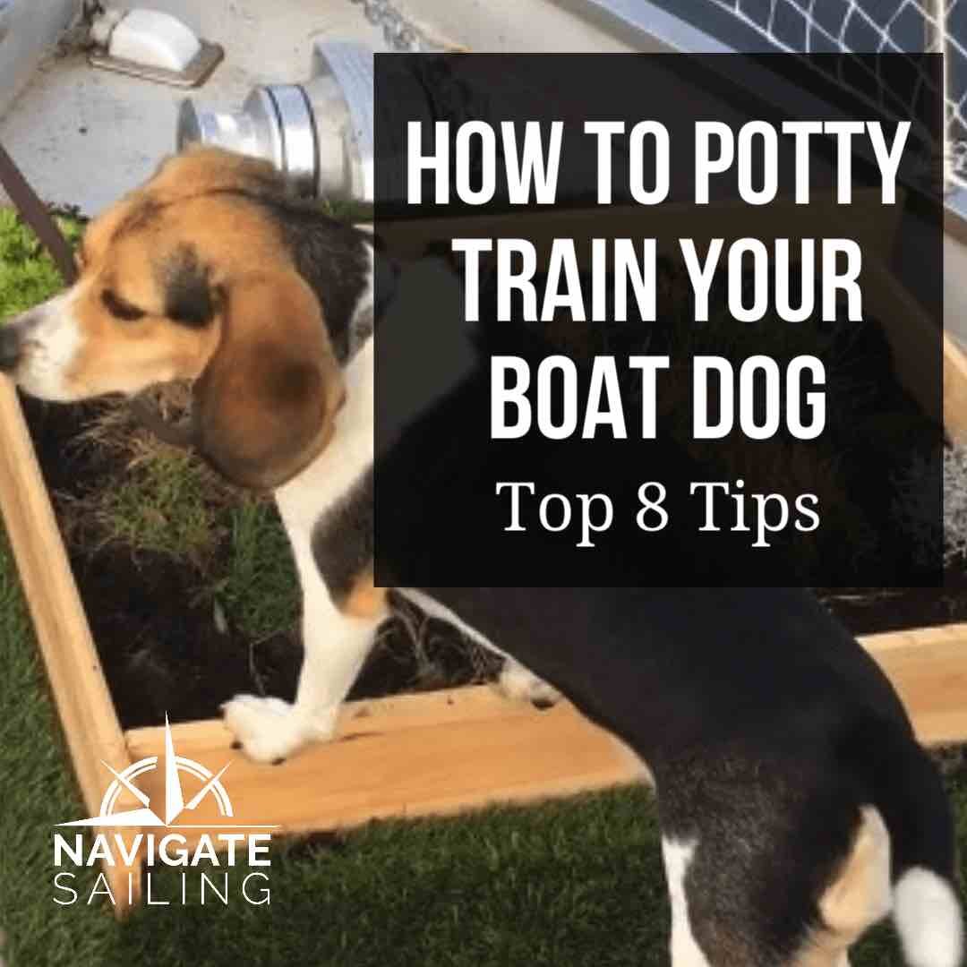 How to Potty Train a Boat Dog – Top 8 Expert Tips