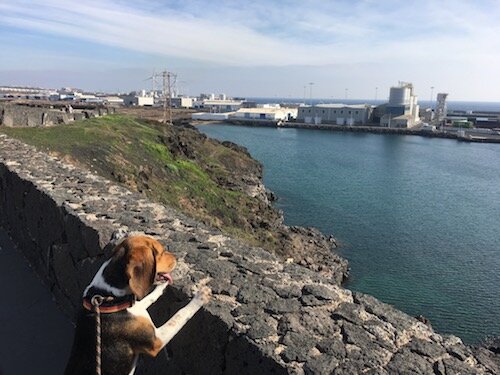 Exploring the Canary Islands