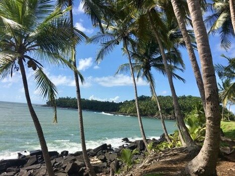 Spectacular Scenery in French Guiana