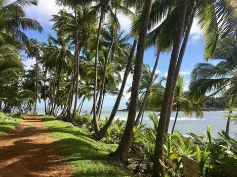 Walking Trails Triangle Islands