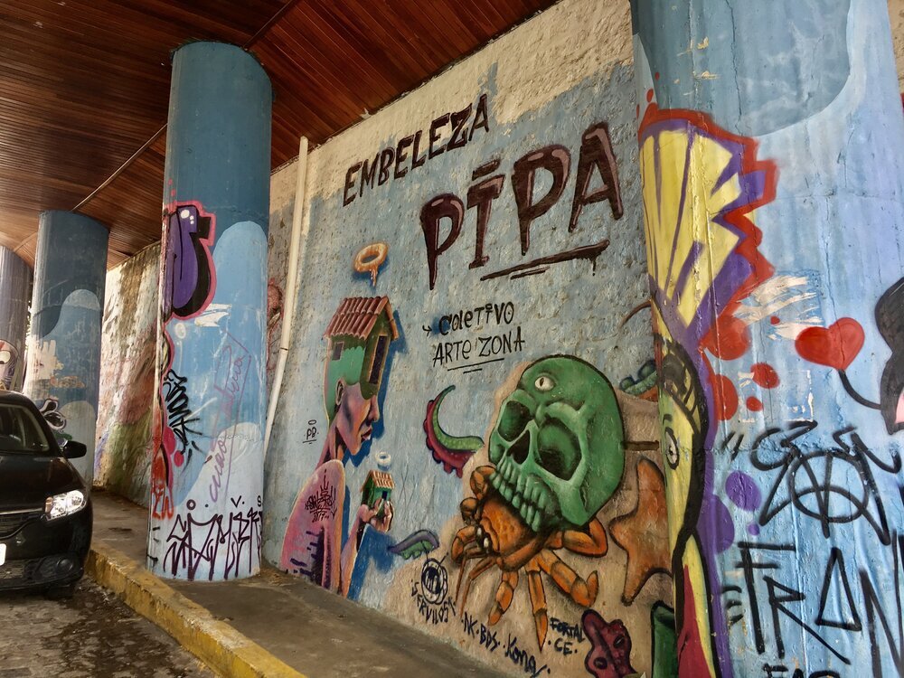 Explore Pipa Beach Brazil