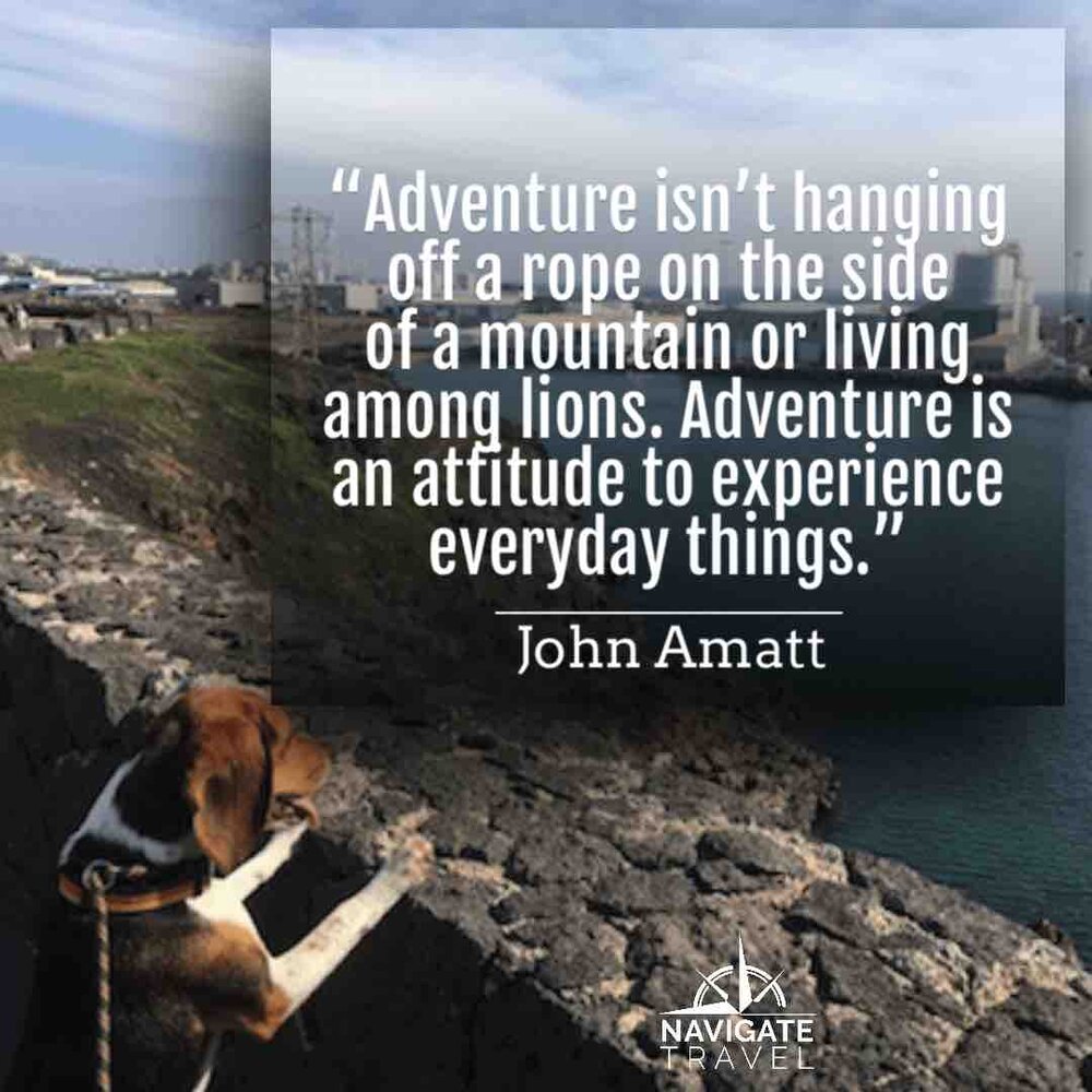 travel adventure quotes