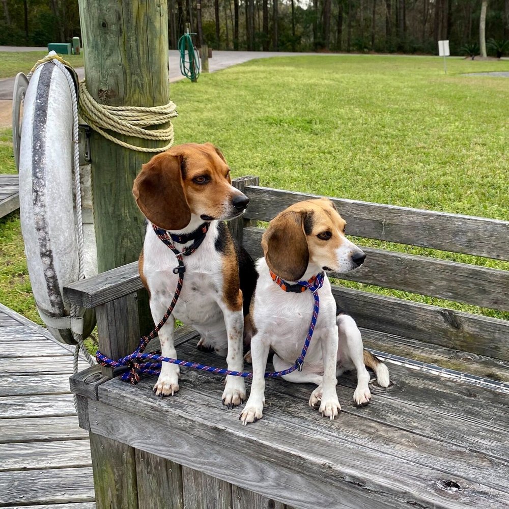 Cap'n Jack &amp; Scout (Copy)