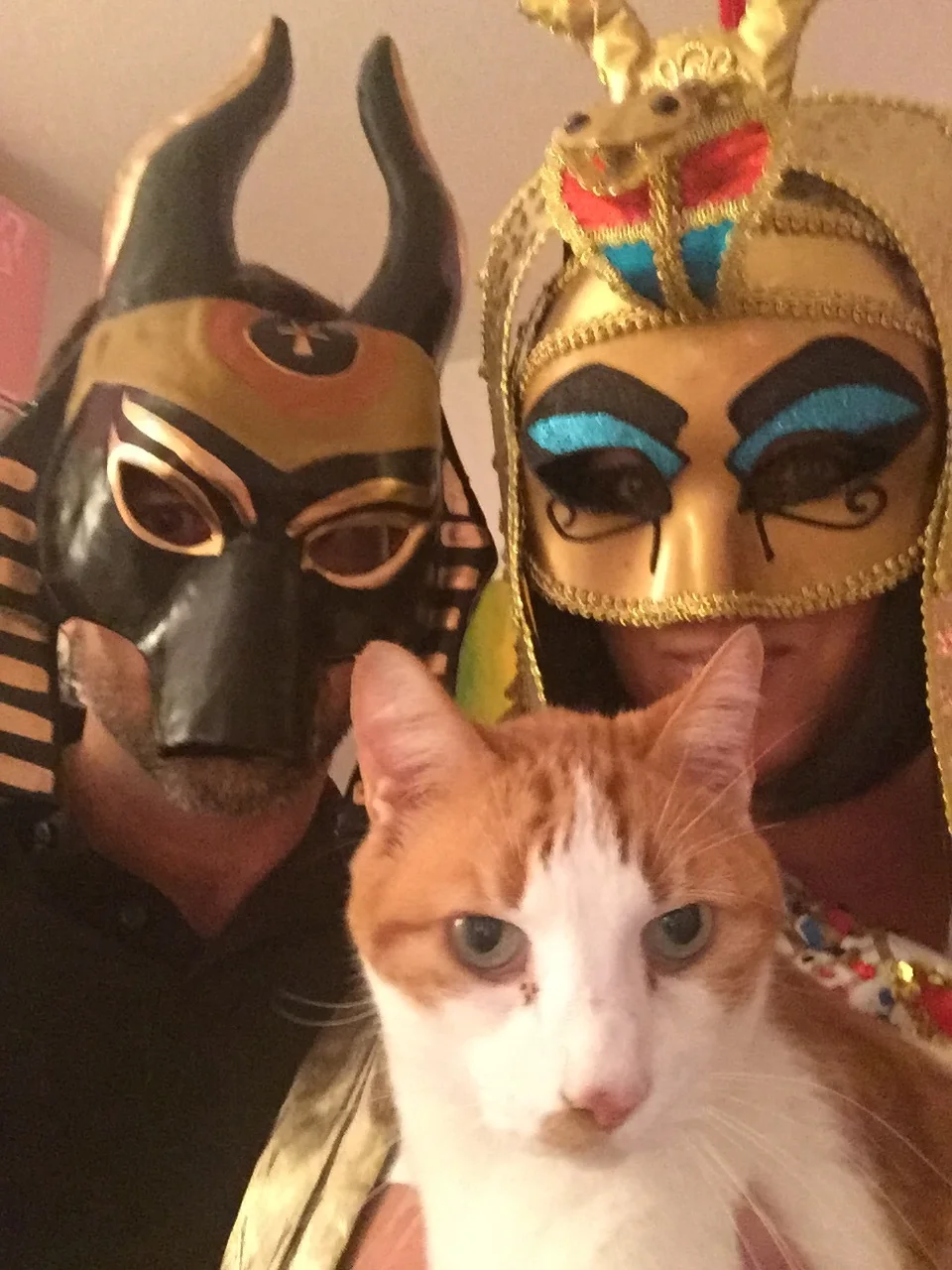 Happy Holidays and a Happy New Year!