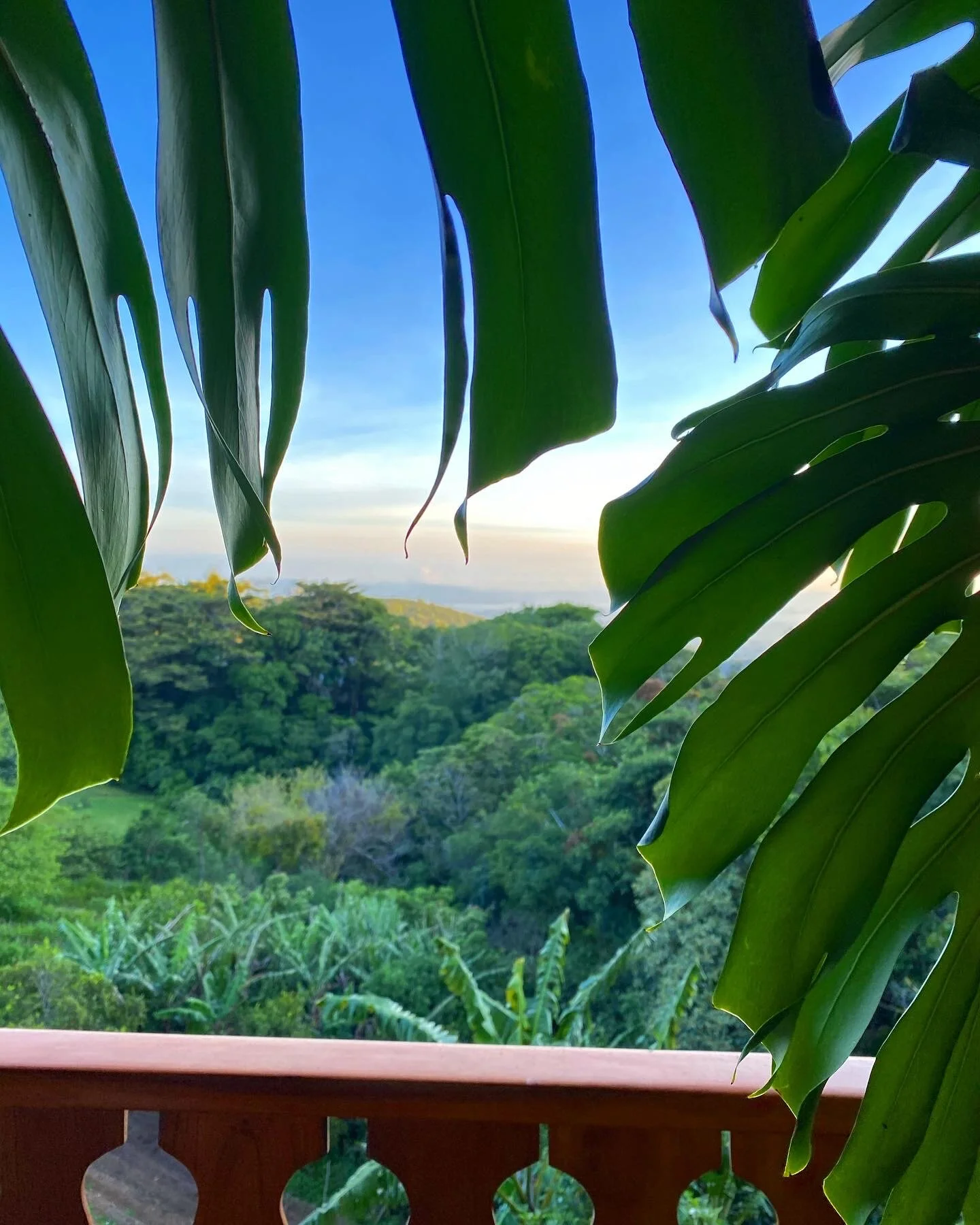 A Love Letter to Journeys