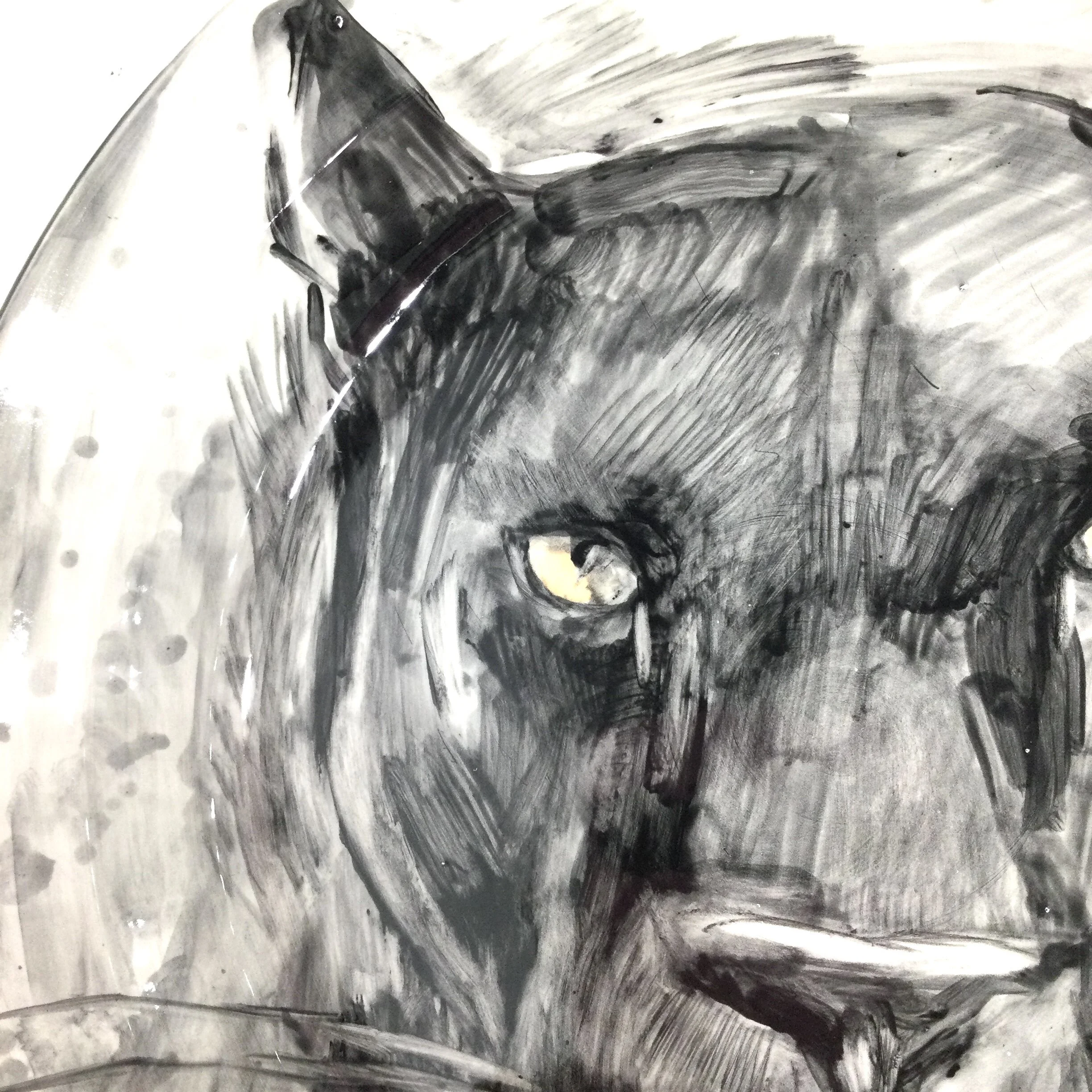 1BD5A463-7BE3-444A-9BF9-AAC7C0861EC8