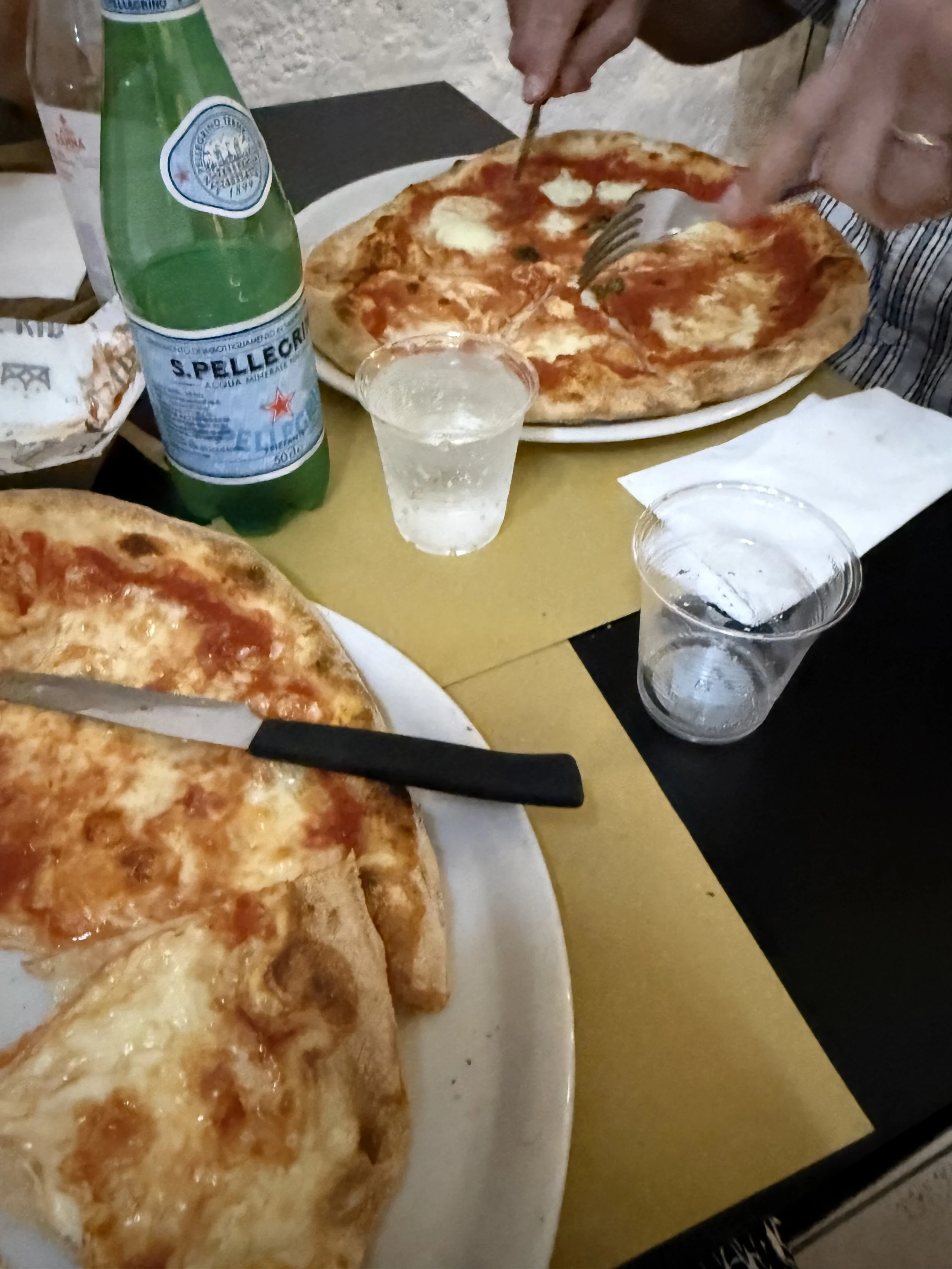 IMG_9231.jpeg