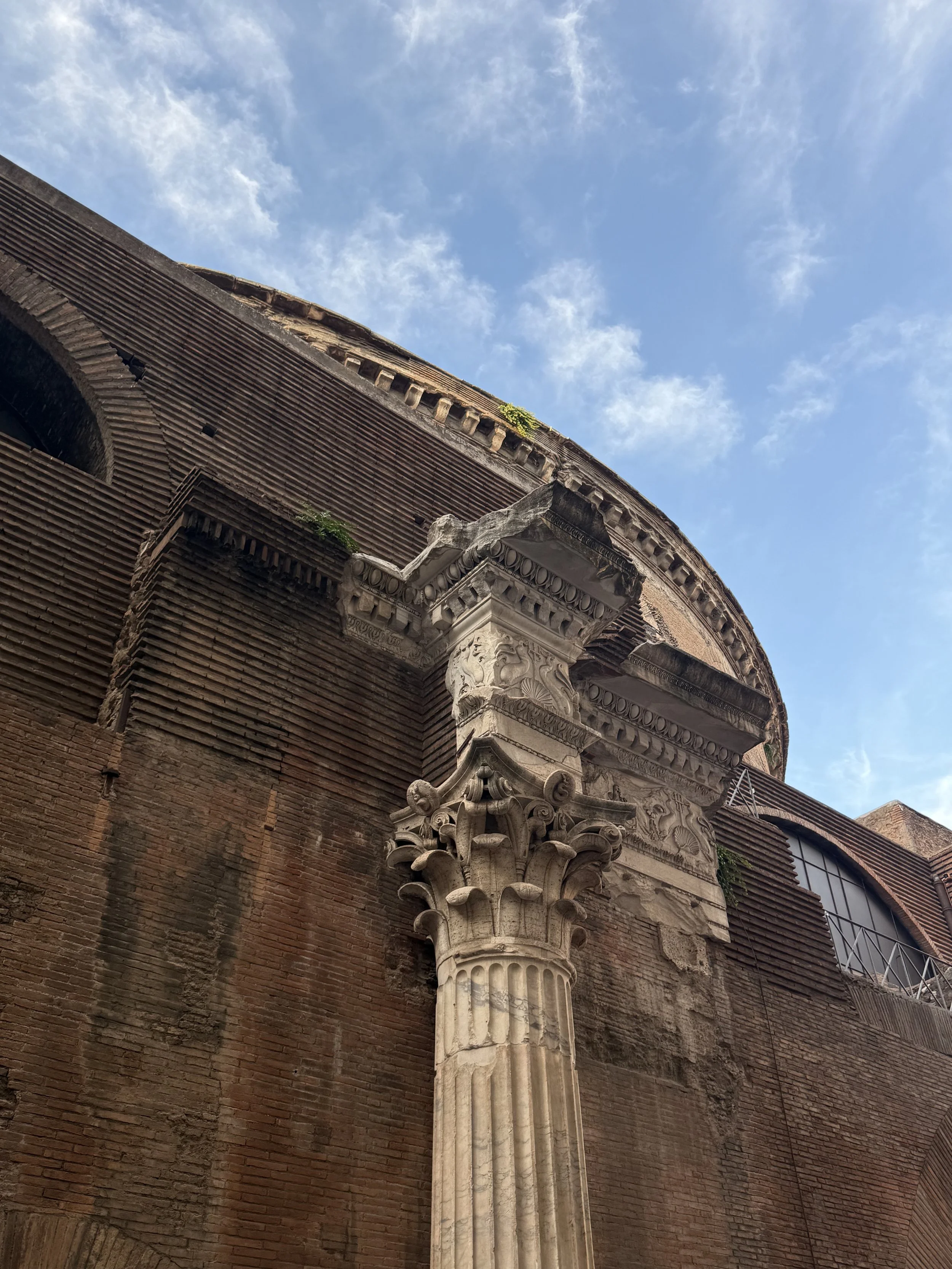 IMG_9442.jpeg