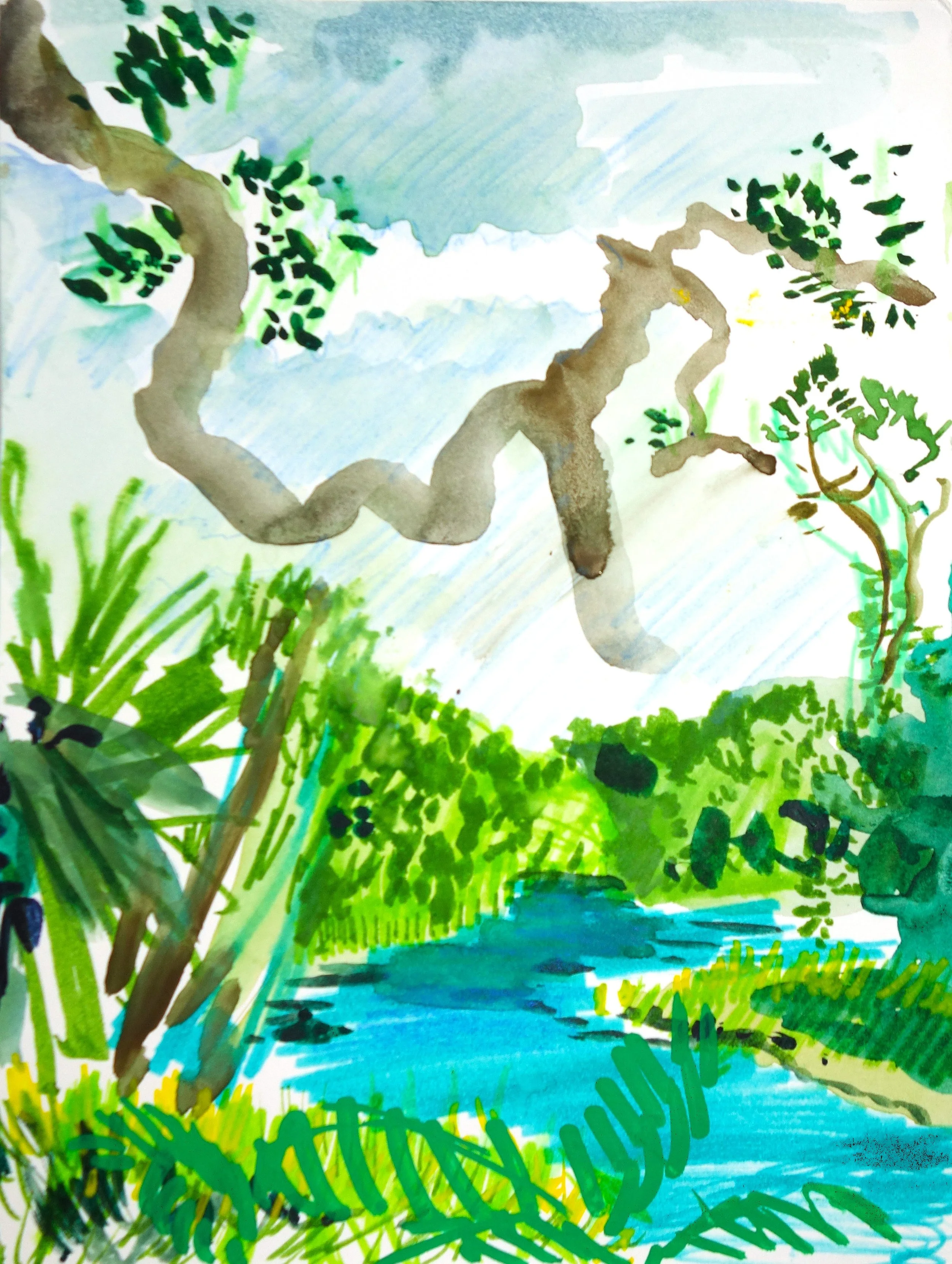 SPRING 2 6 RAINBOW BRANCH.JPG