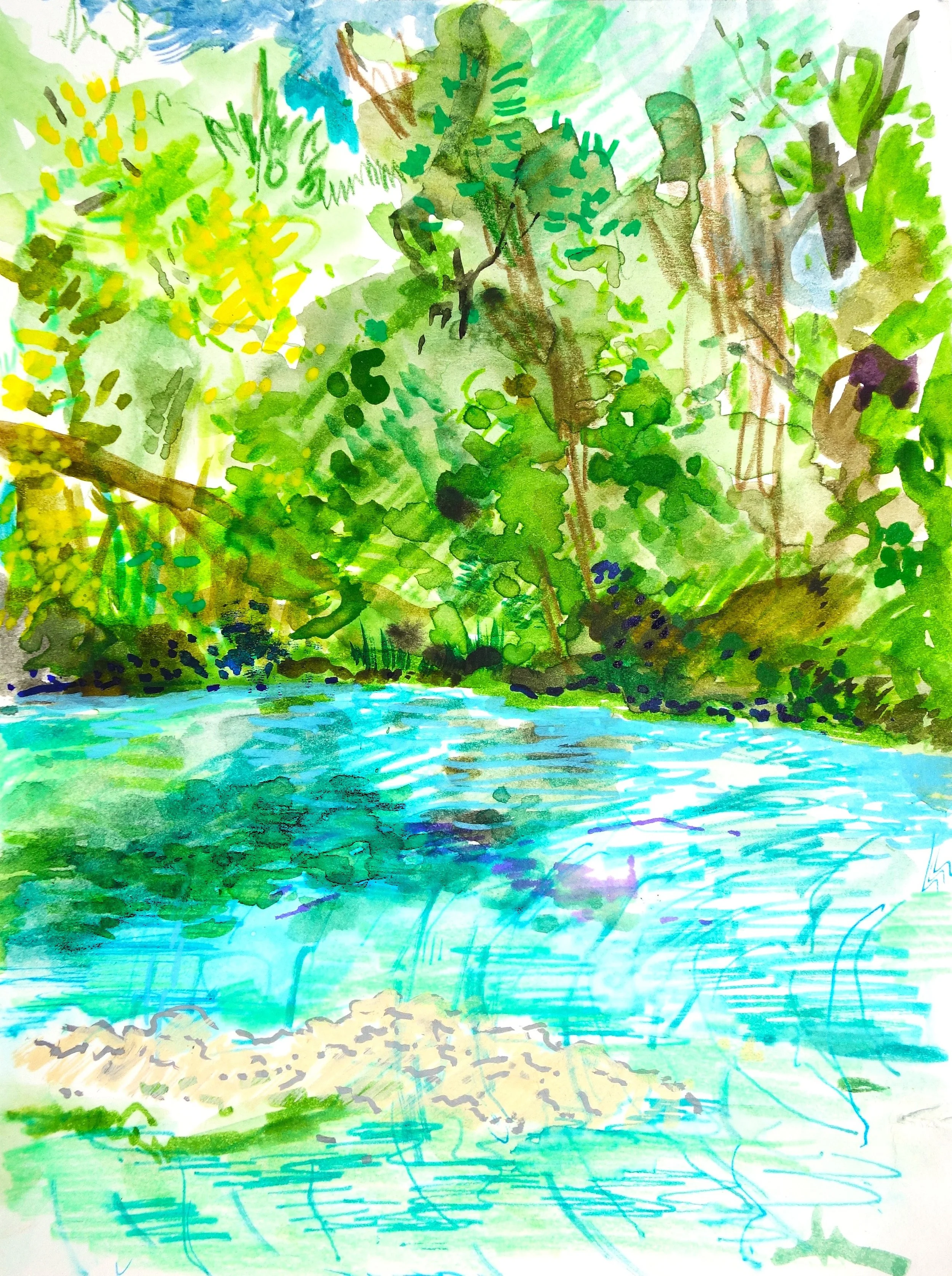 SPRING 2 3 ITCHY BOY.JPG