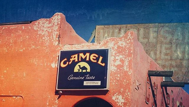 I saw a camel in the desert today. #yellowhorsetradingpost #arizonalove #southwest