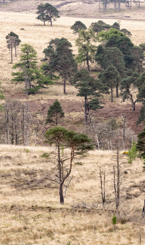 257A7674-Edit-3.jpg