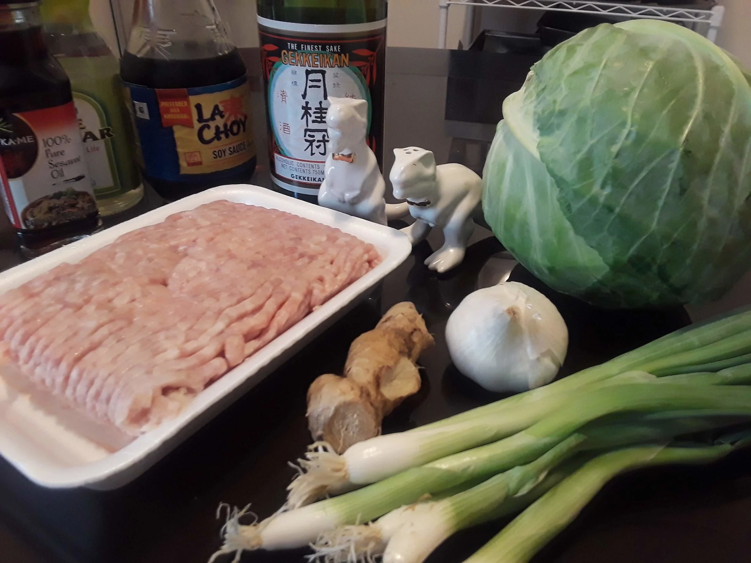 Basic ingredients for gyoza, guarded by carnivorous salt and pepper shakers. Specific brands not required! (We recieve no money from the brands shown)