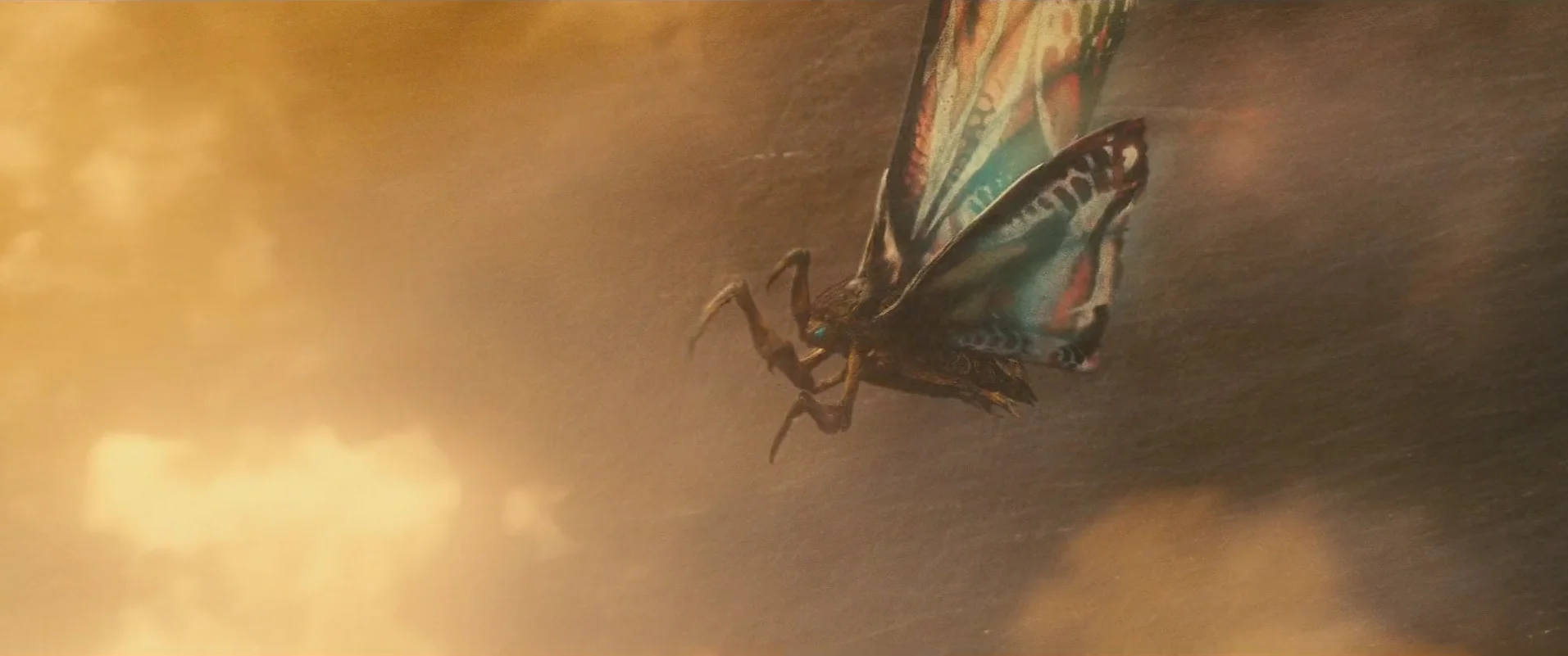 31 Mothra adult.jpg