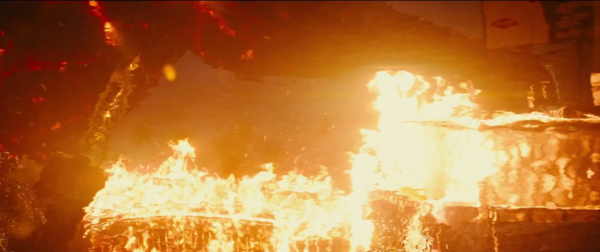 69 Fire Goji 1.jpg