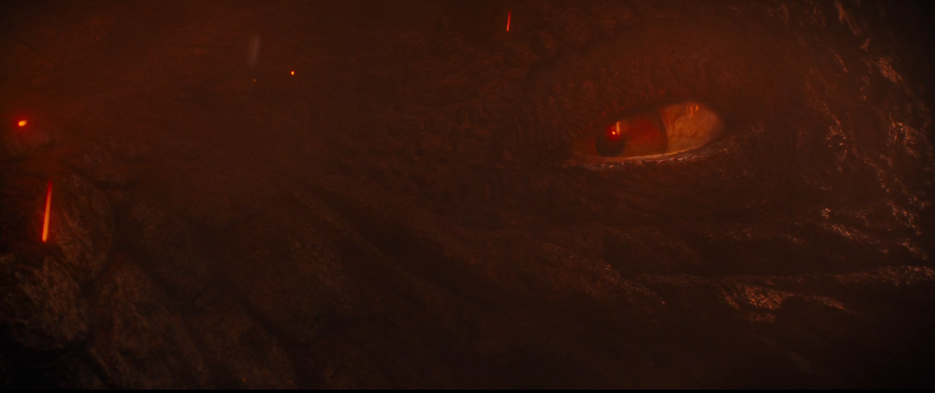 23 - Goji Eye.png