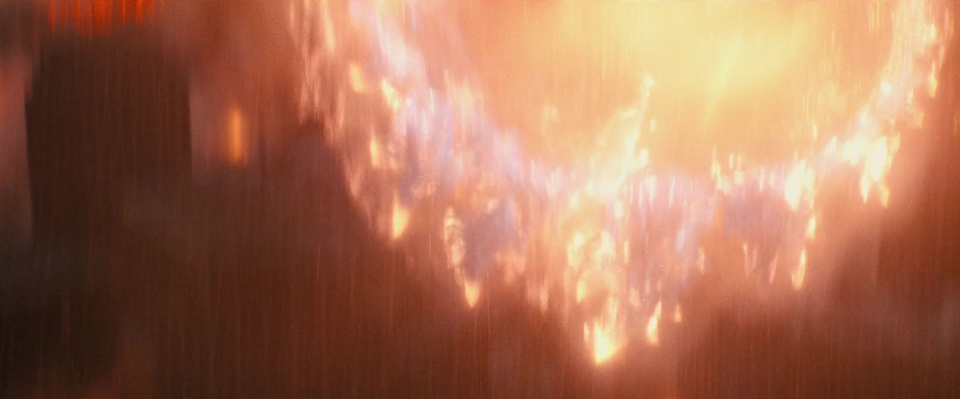 31.3 - Goji fall 3.png