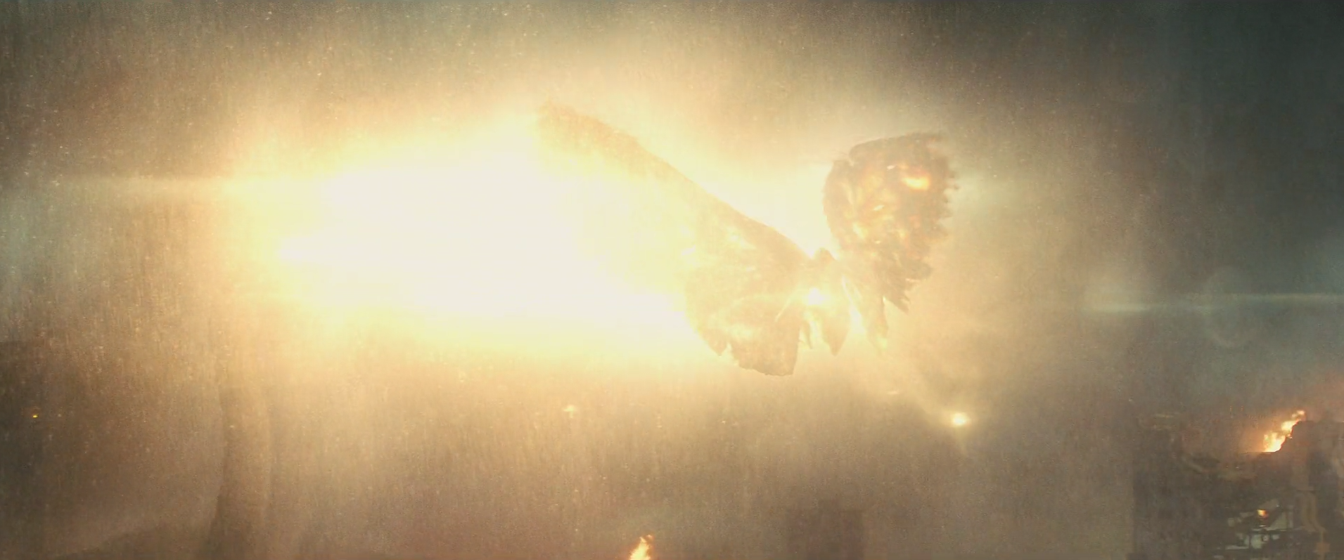 35.2 - Moth suicide 2.png