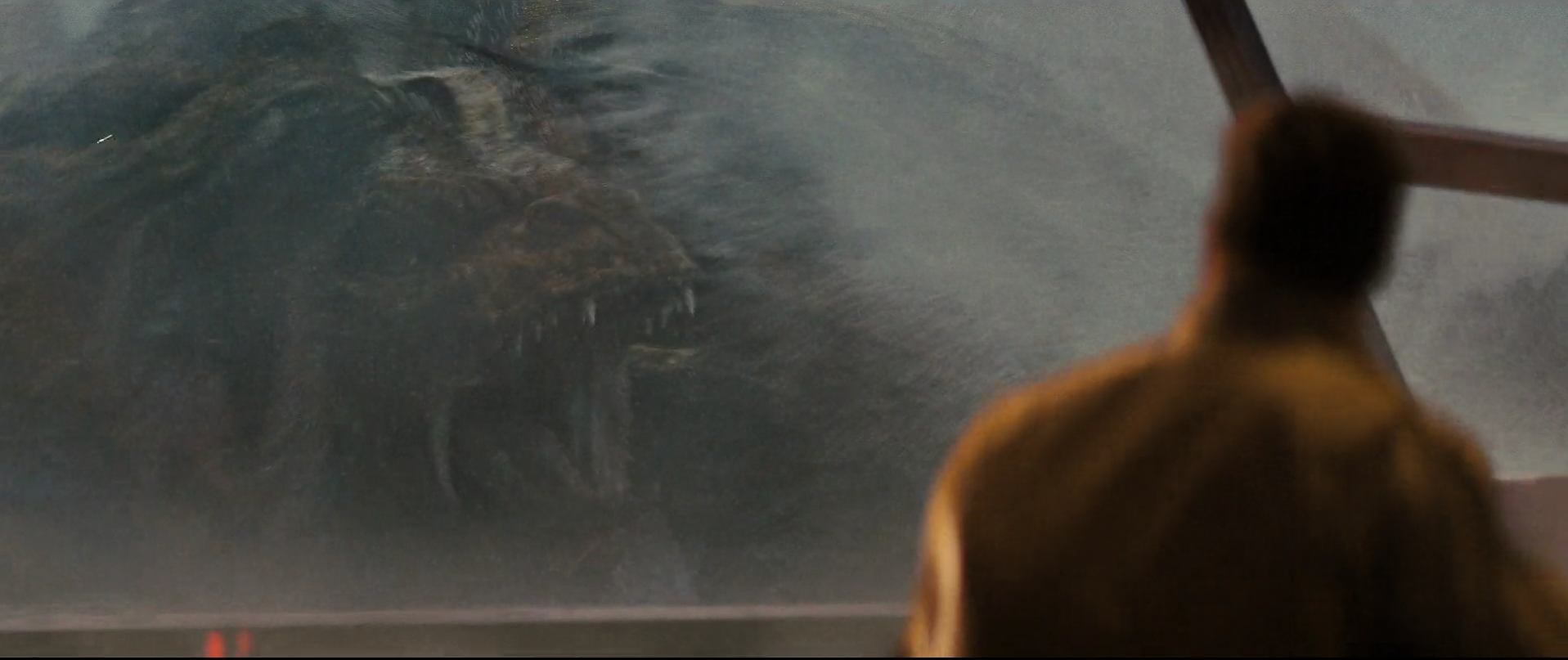 8 - Goji protec 1.png