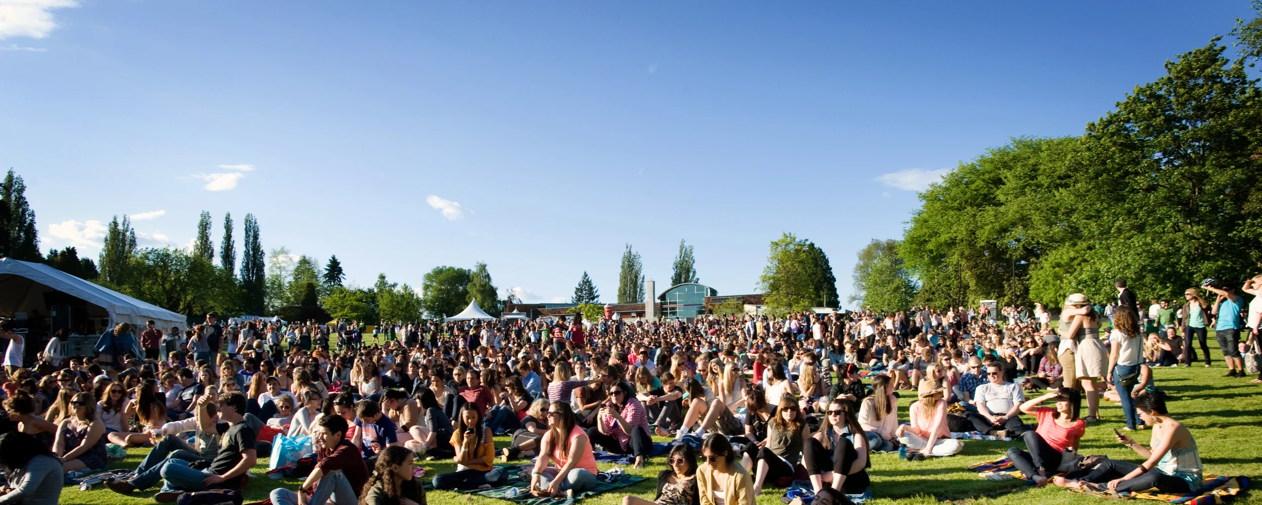 Crowd_grass_1.jpg