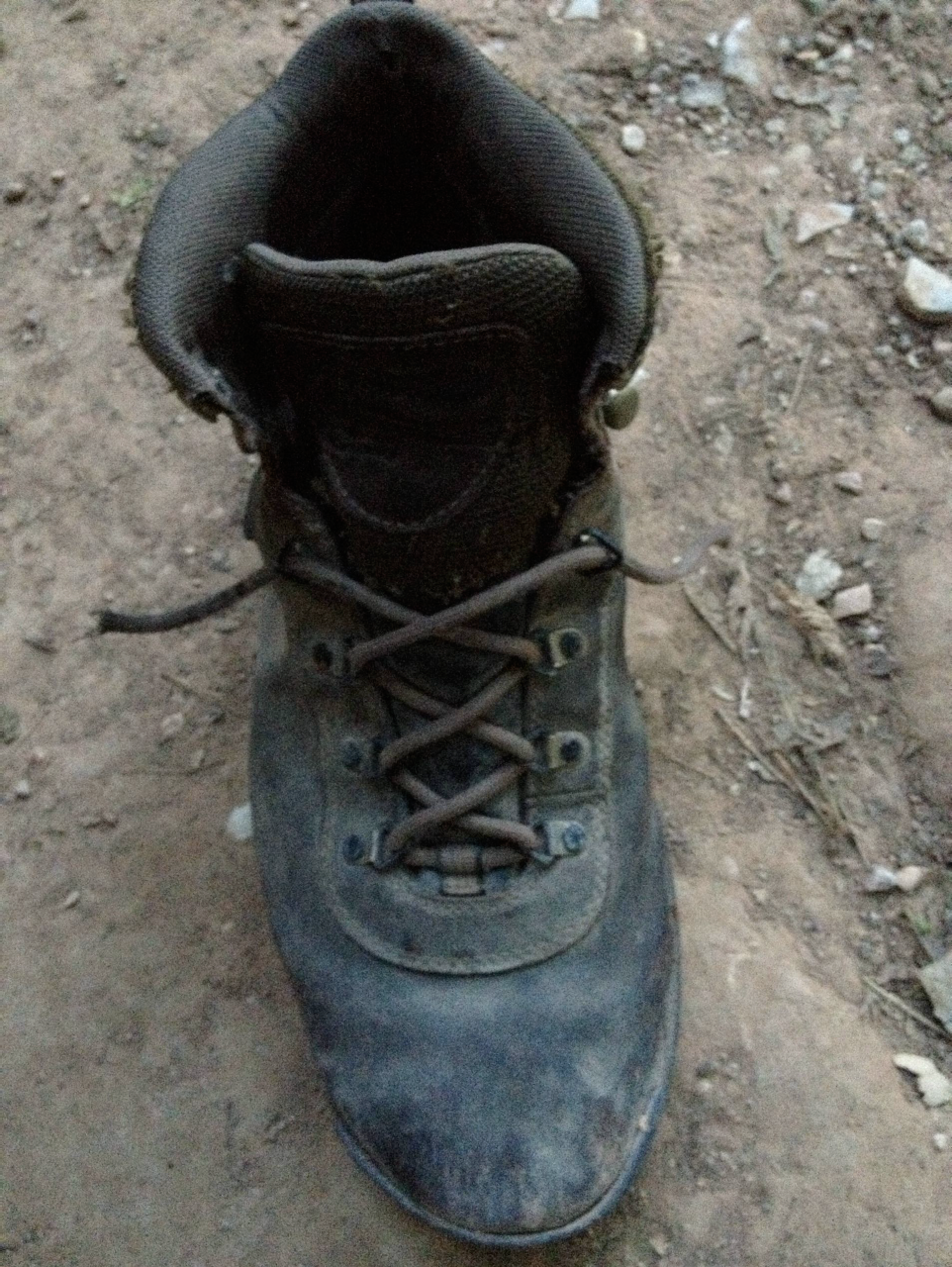 "A squirrel chewed through my boot laces."