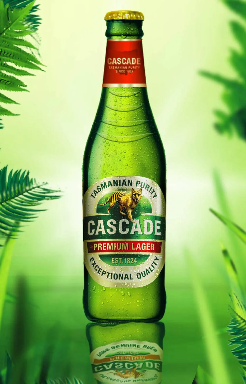 cascade_purity_v2.jpg
