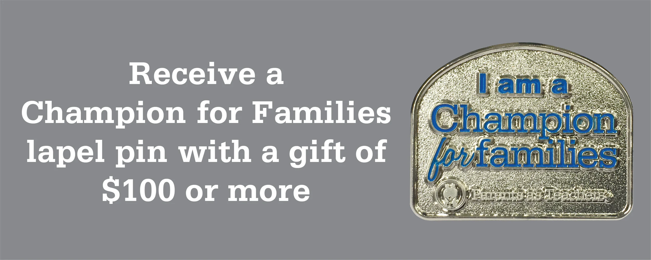 Make a minimum gift of $100 and you will receive a Champion for Families lapel pin.