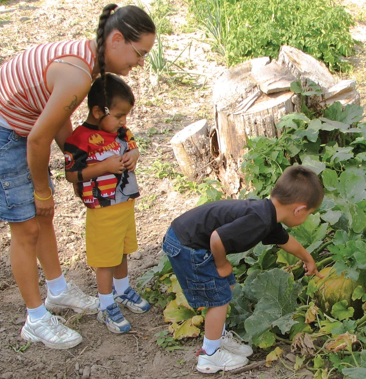 Children exploring a vegetable garden