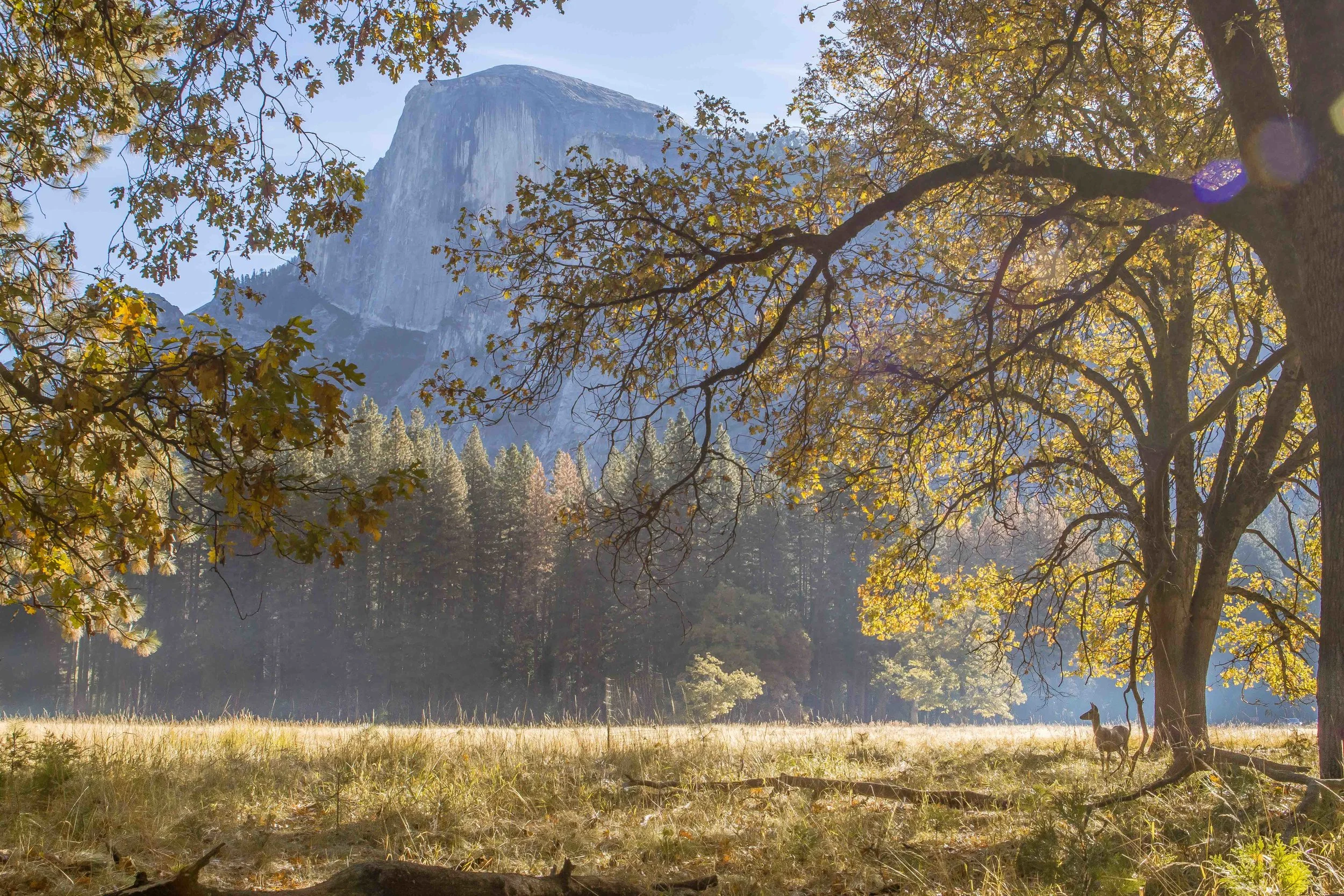 Yosemite-Fall-2016-KLawson-2mn-16.jpg