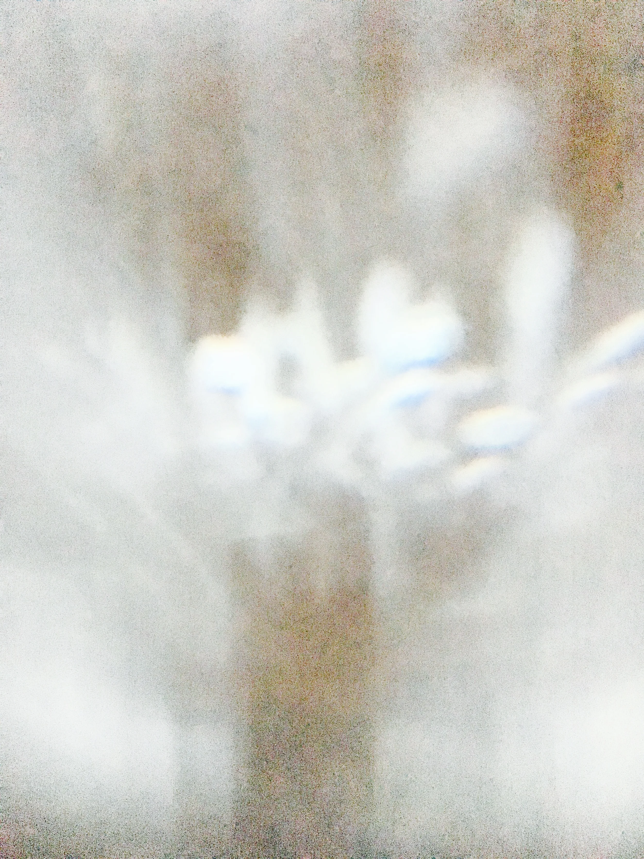 2016, Optic Experiment, Variable Dimensions