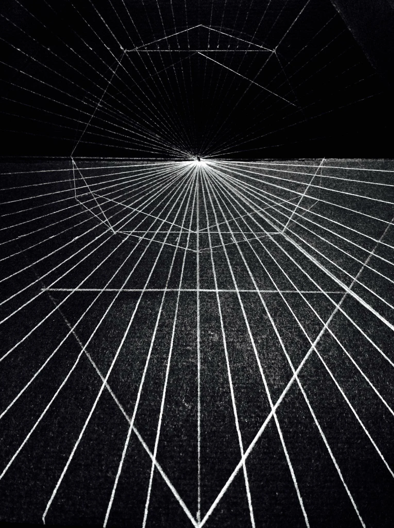 2015, paper and graphite, dimensions variable