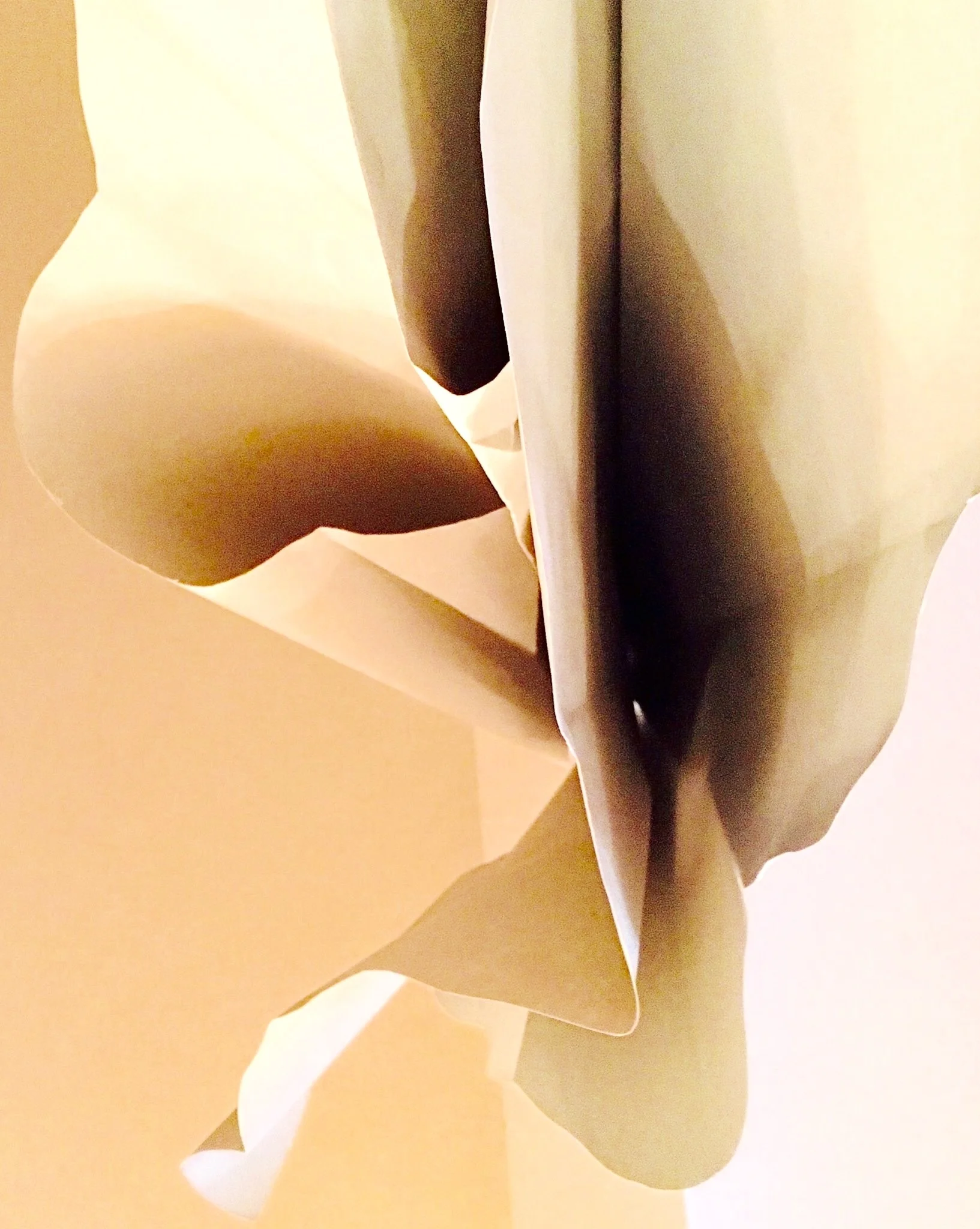 2015, reconfigurable sculpture, variable dimensions
