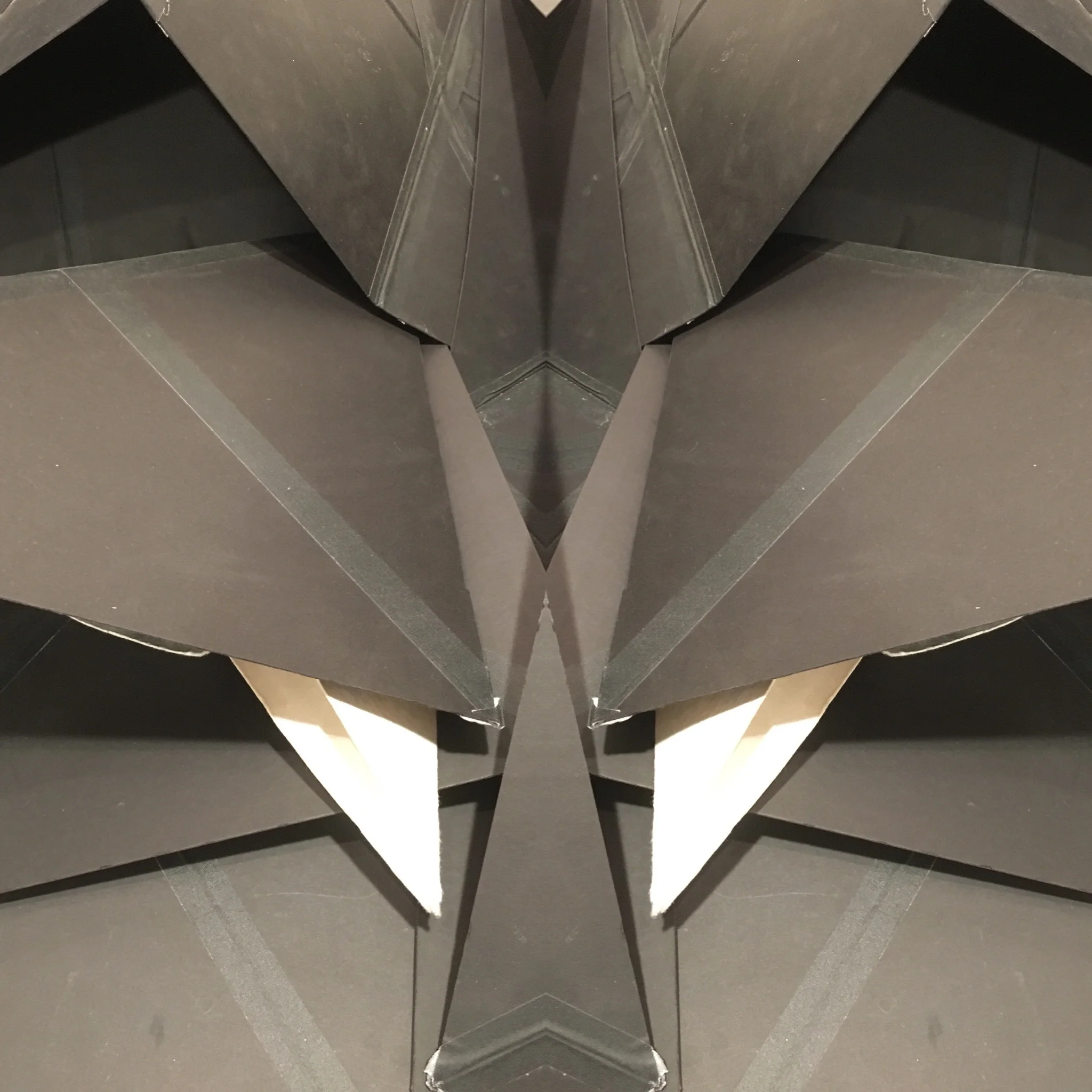 3B49C4DE-059F-4824-A5CA-A2C365A5B9F3 2.jpg