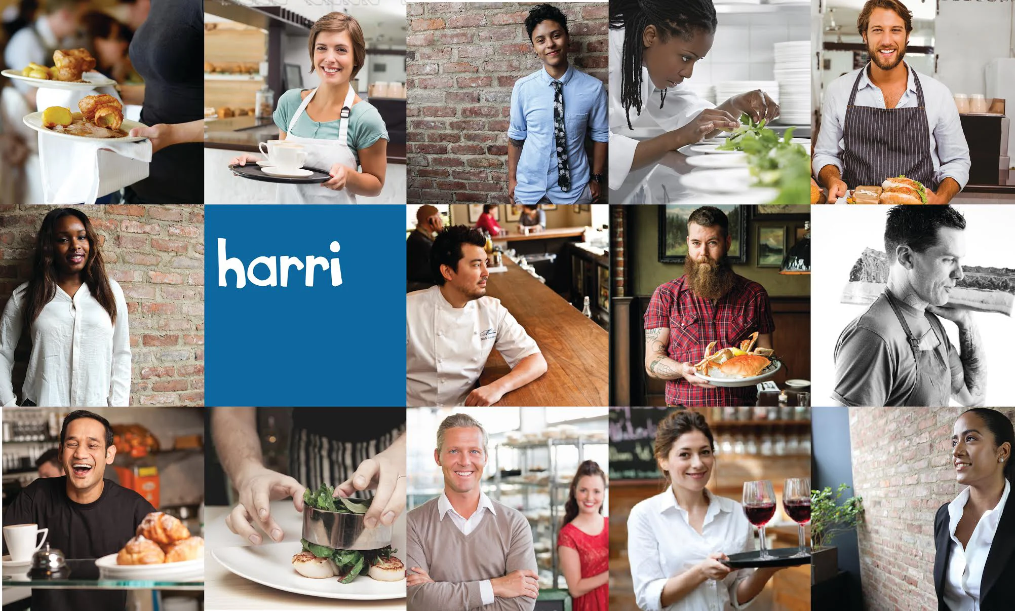 Harri-Grid-v2.jpg
