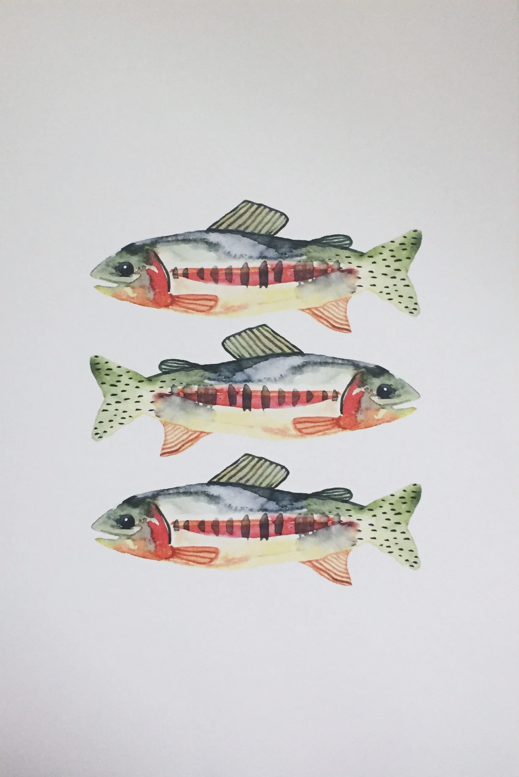 Get Skooled - Fish Poster