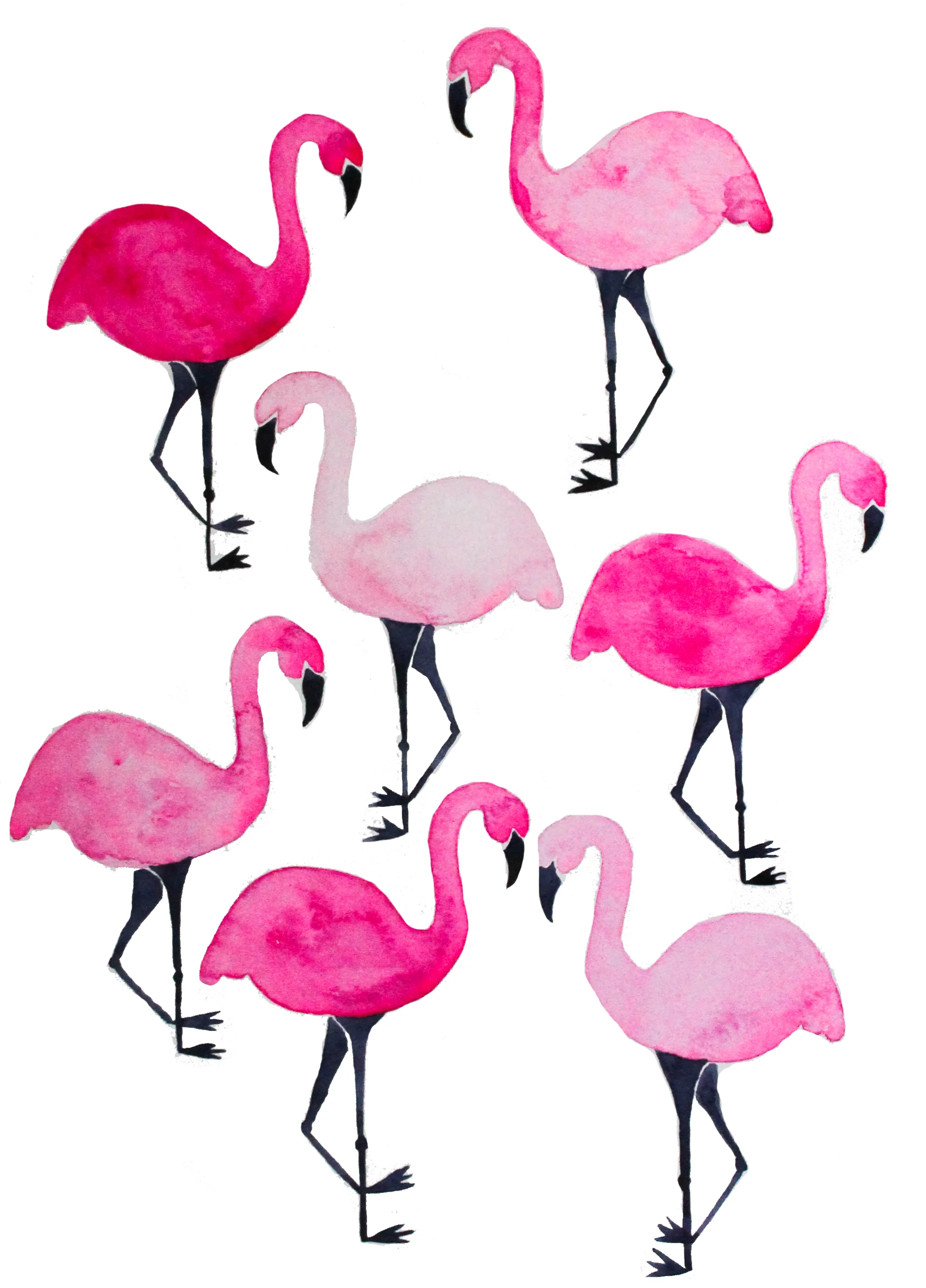 Flamingo Print