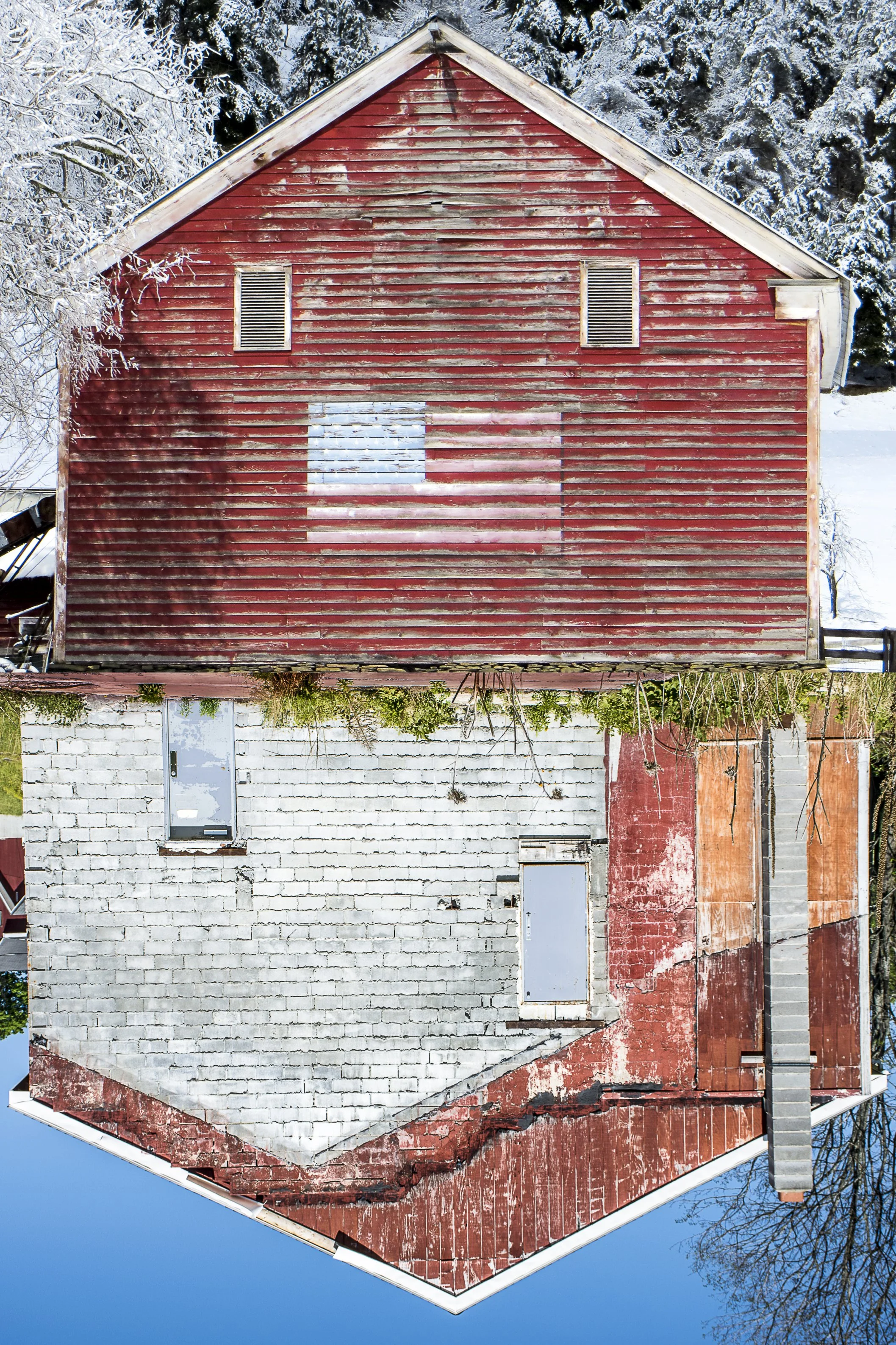 Double Take III (Diptych # 122)