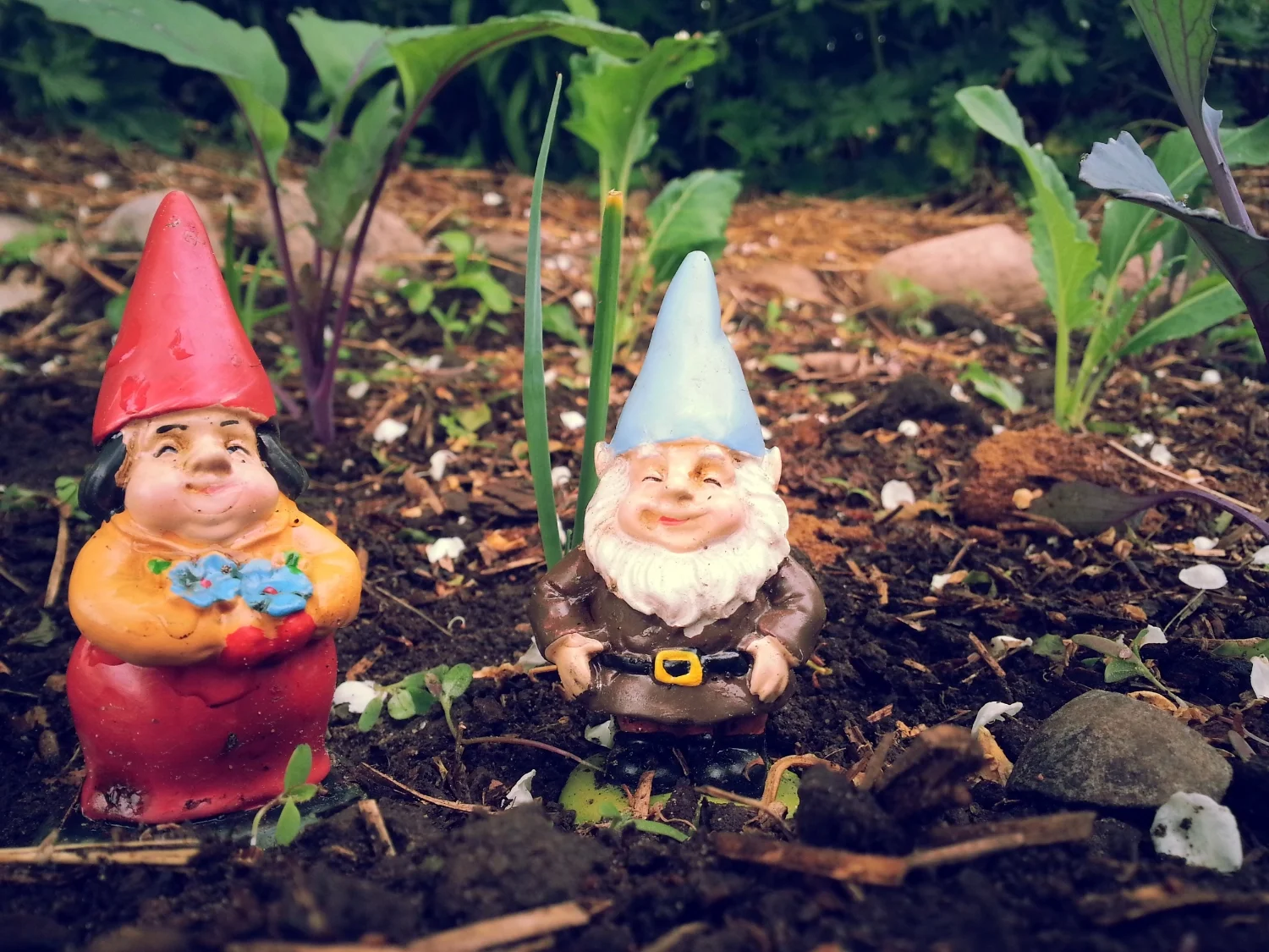 20150525_100754.jpg