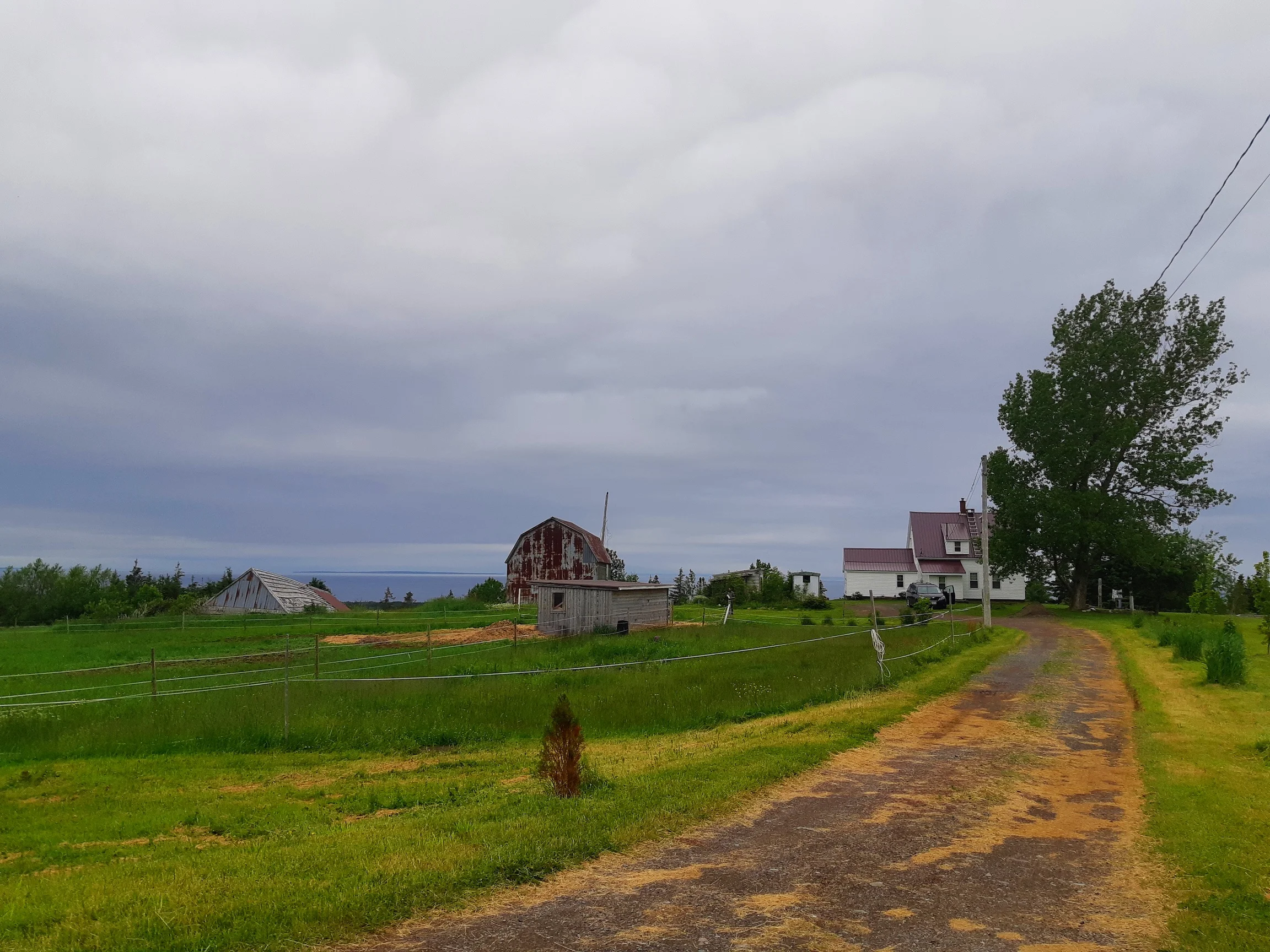 farm+from+road.jpg