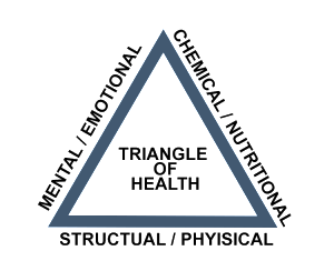 Toxins, Stress & Trauma: The Nervous System Trifecta