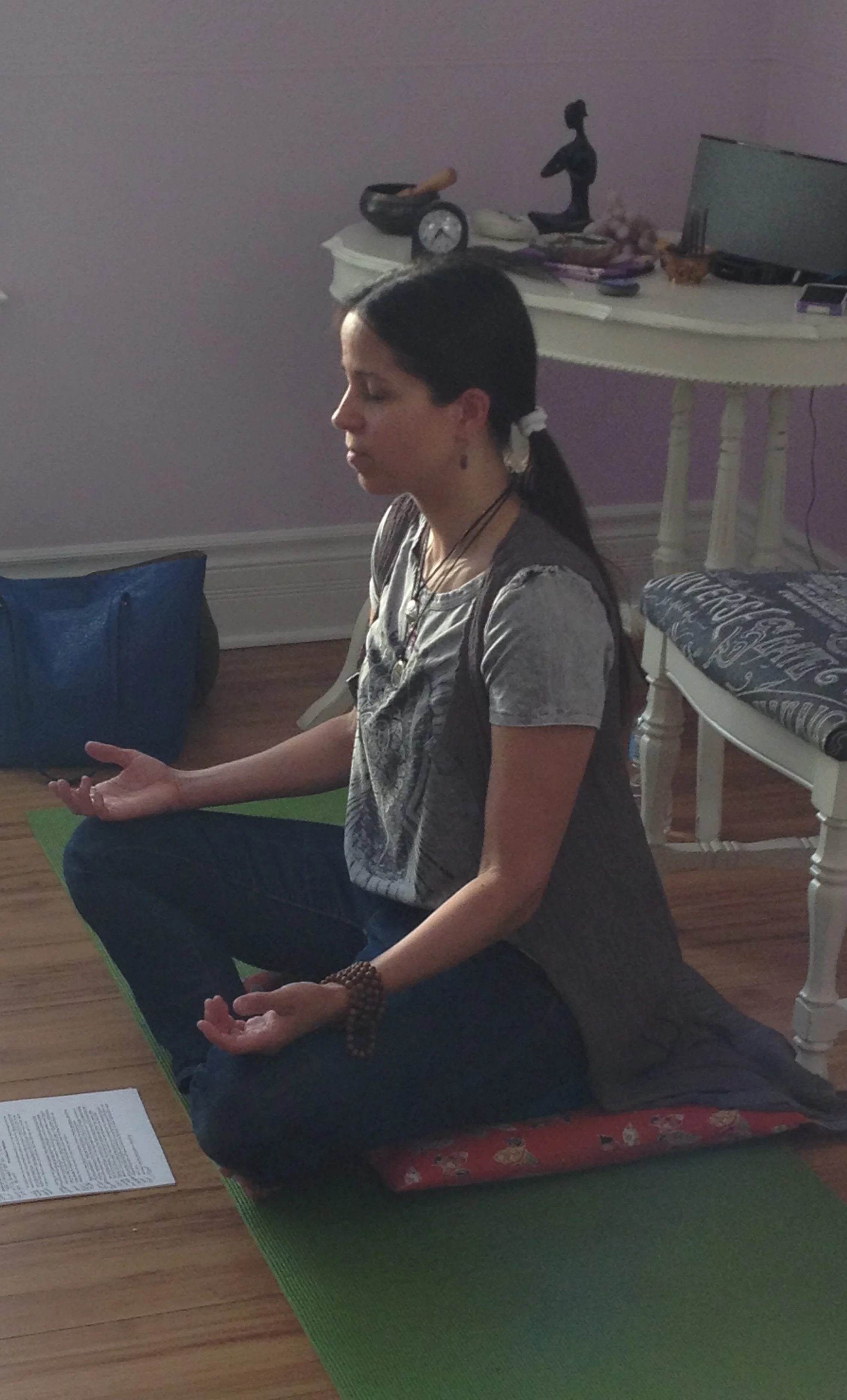 Meditation and the Stress Response