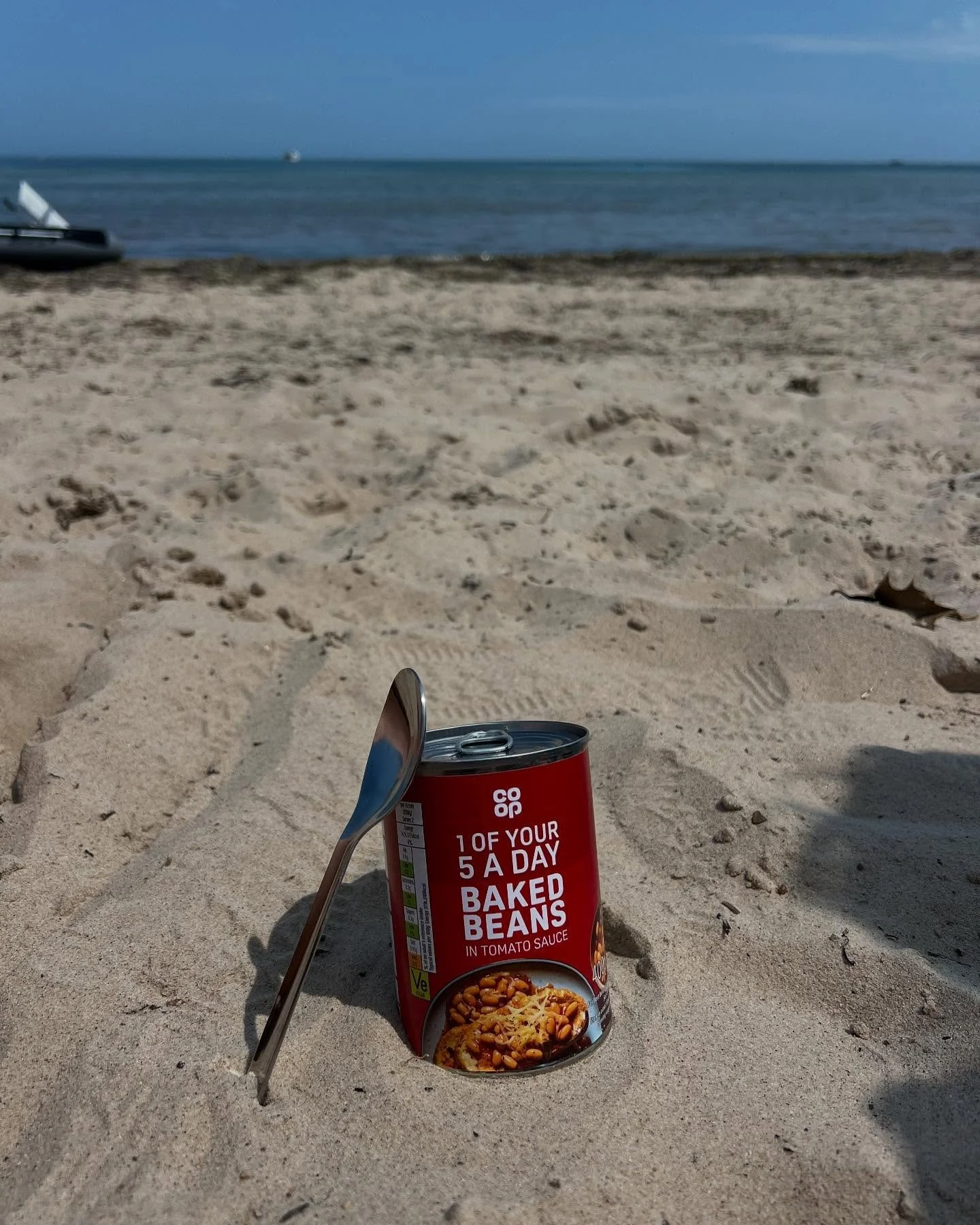 The month and times that rain forgot ☀️
1. Triumphant picnic on the beach
2. Walks with my dungaree twin 👯‍♀️ @hl.thomas
3. Much excitement in Bath @stephanieclairekelly
4. My ♥️🐕‍🦺 (her real pawrents @hare_house but I thank my
