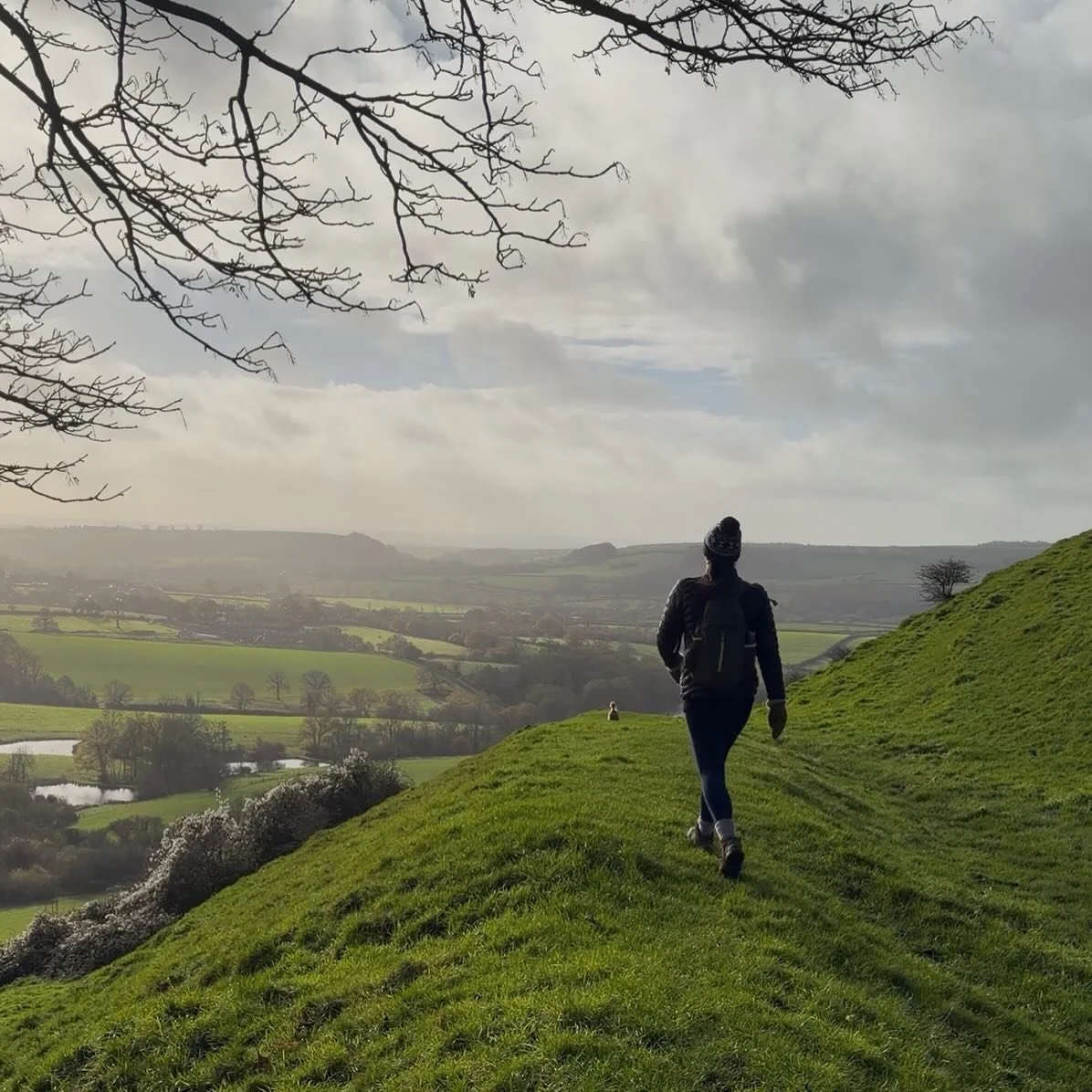 A switch flicked in my head recently.  A dramatic and necessary mindset switch which has manifested as a quiet and complete surrender.  There comes a time when you realise that not only do your thoughts not define you, but that the thoughts themselve