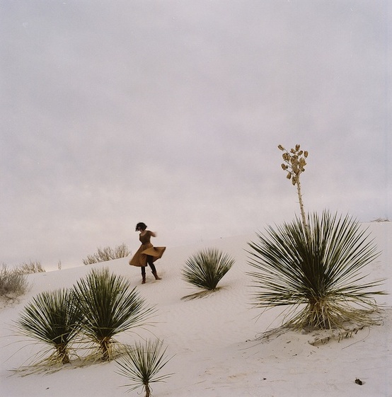 desert.jpg