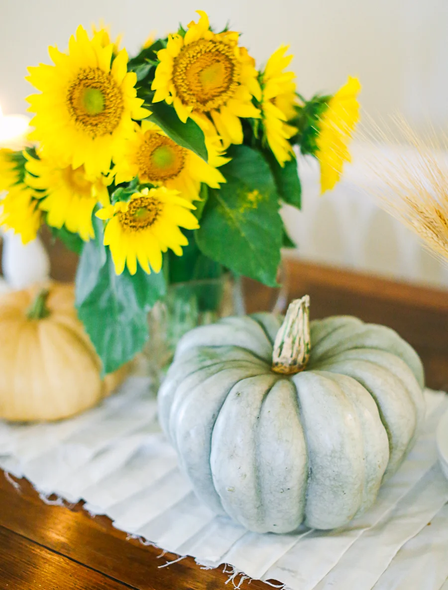 fall (2 of 6)
